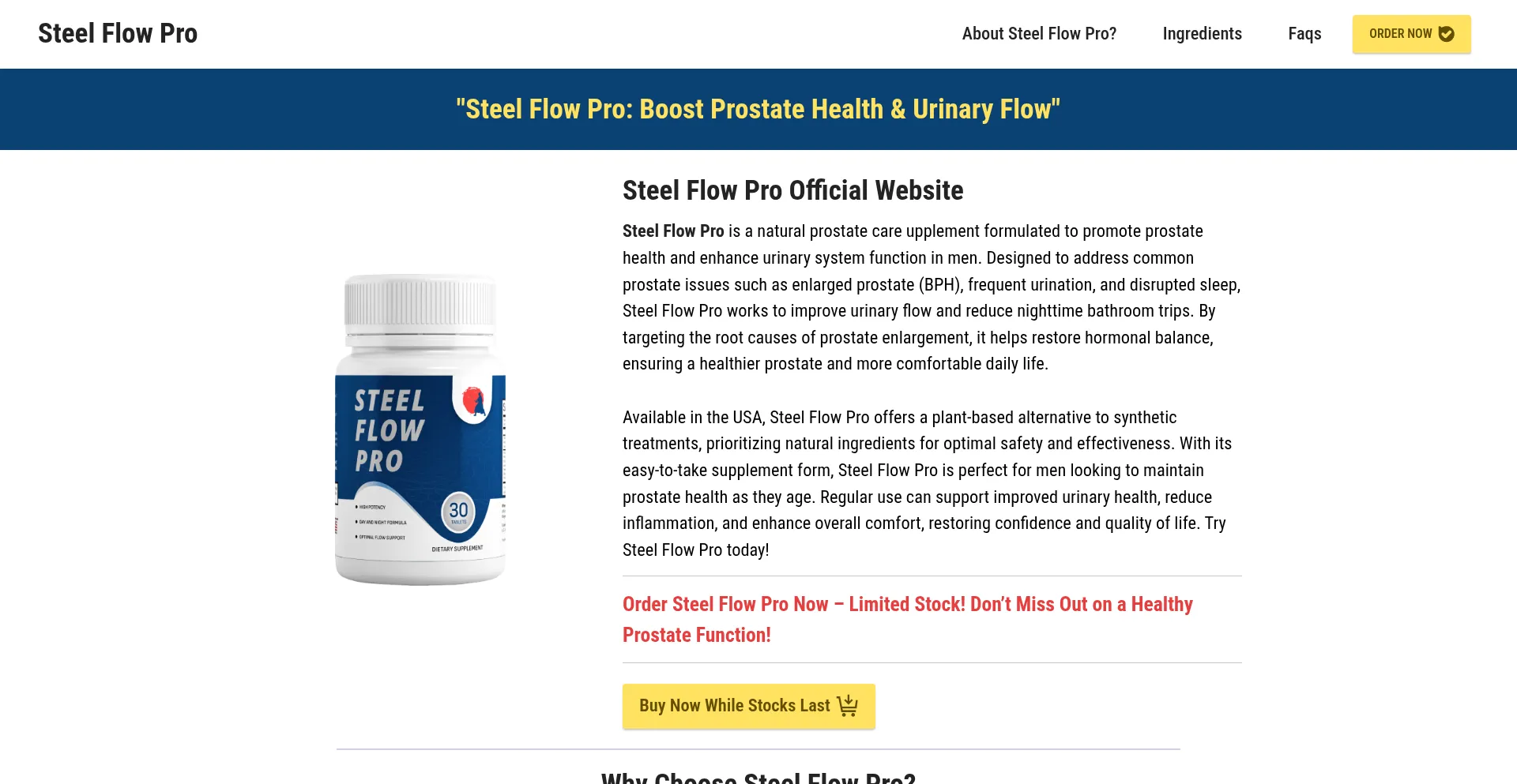 En-steelflowpro.us
