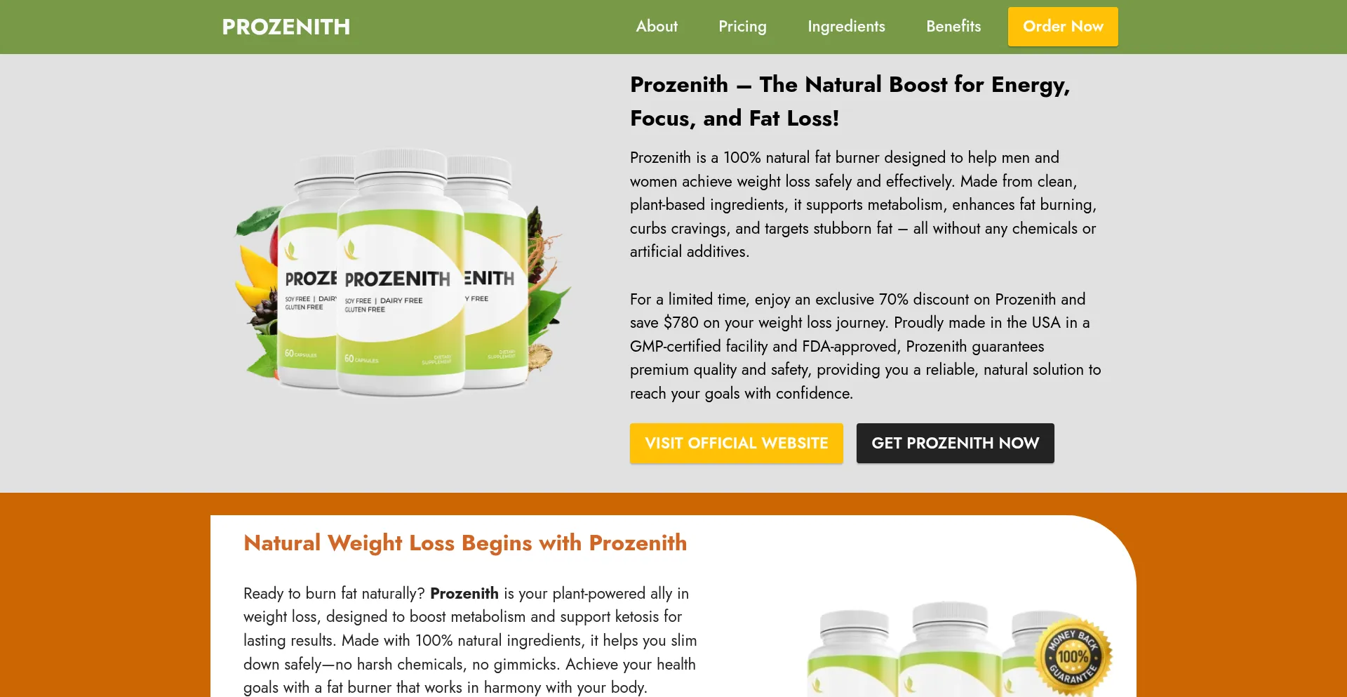 Website screenshot of En-try-prozenith.com