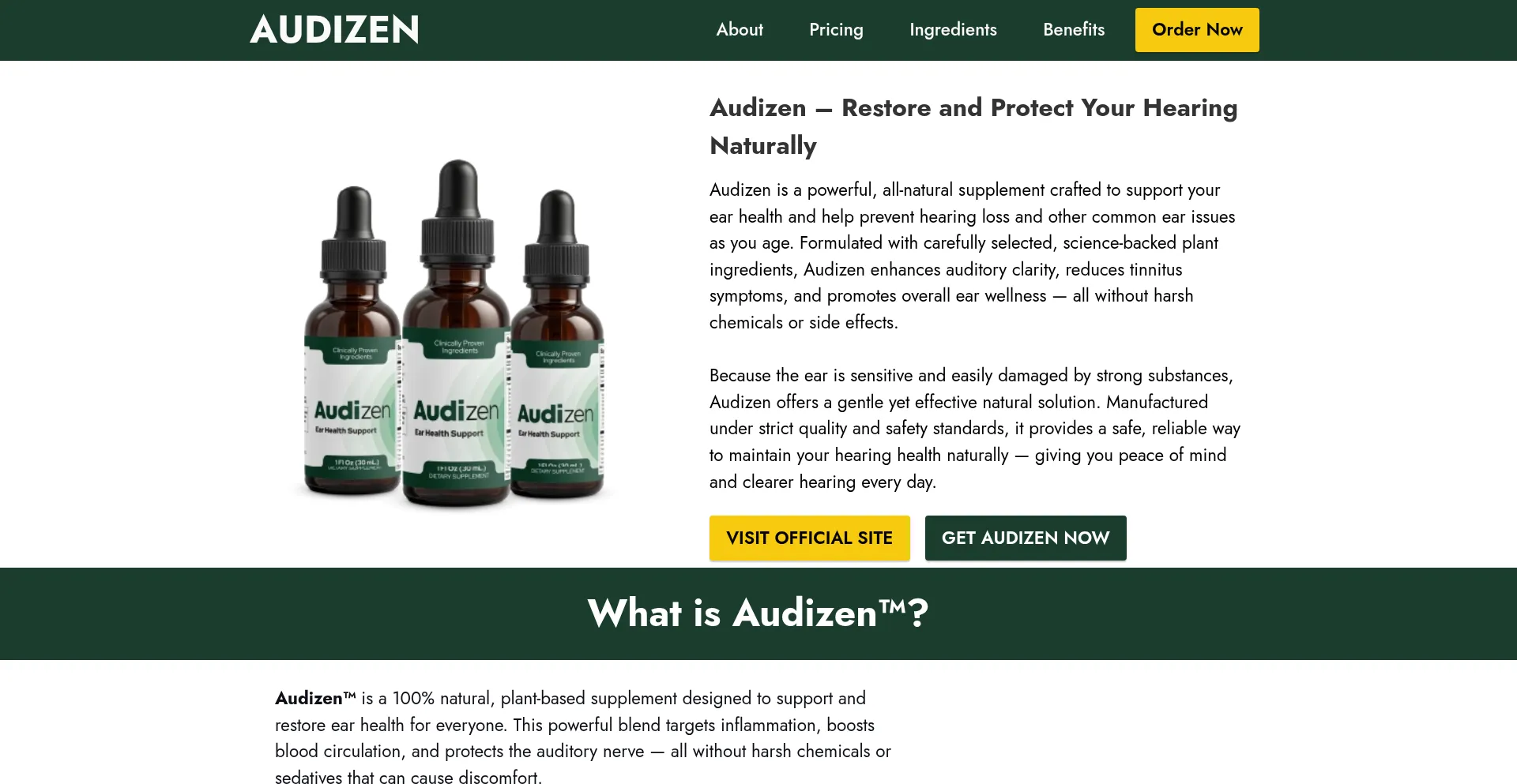 Website screenshot of En-us-audizendrops.com