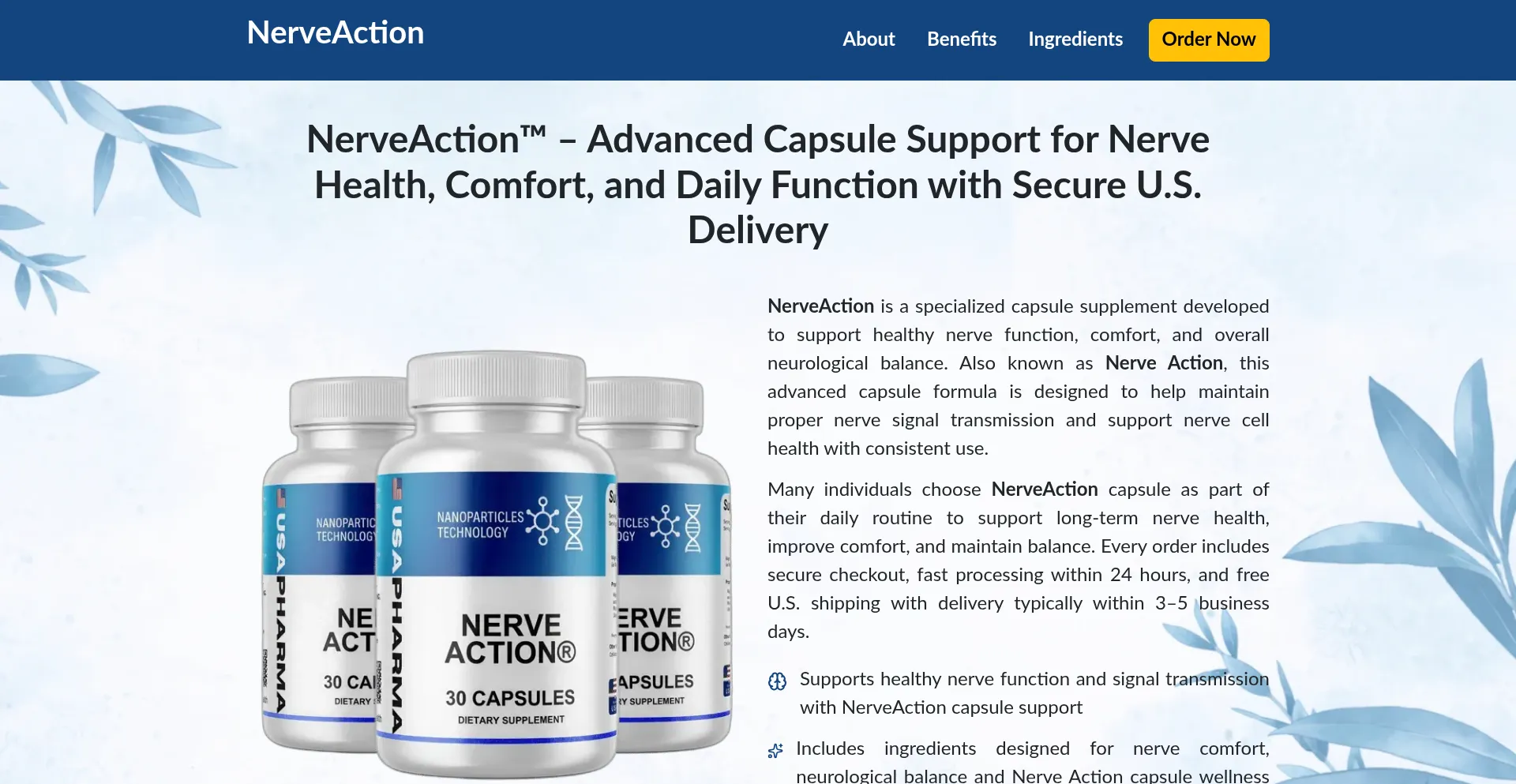 En-us-en-nerveaction.com