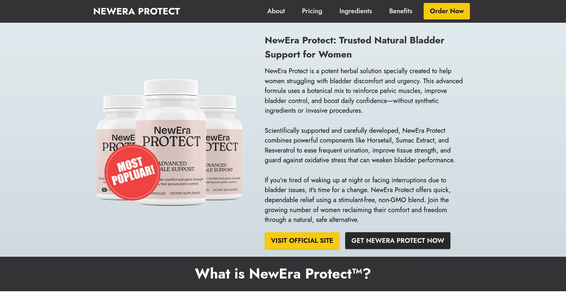 Website screenshot of En-us-neweraprotect.us