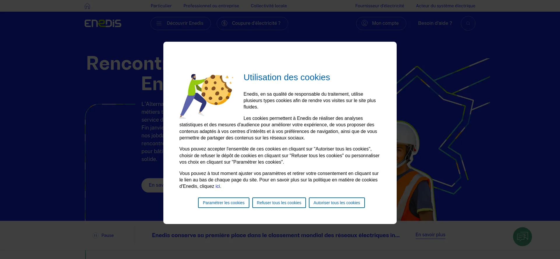 Website screenshot of Enedis.fr