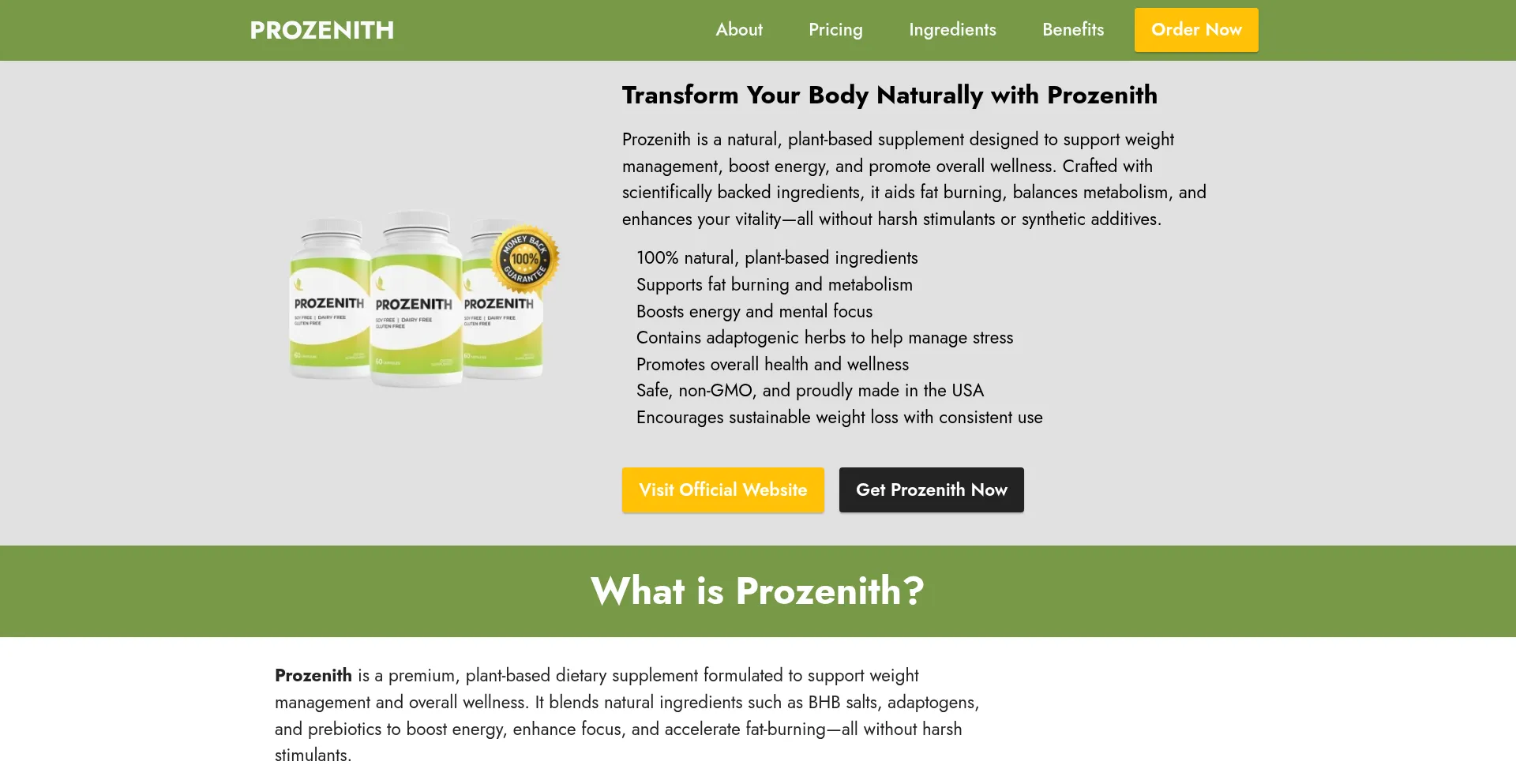 Website screenshot of Eng-us-prozenith.com