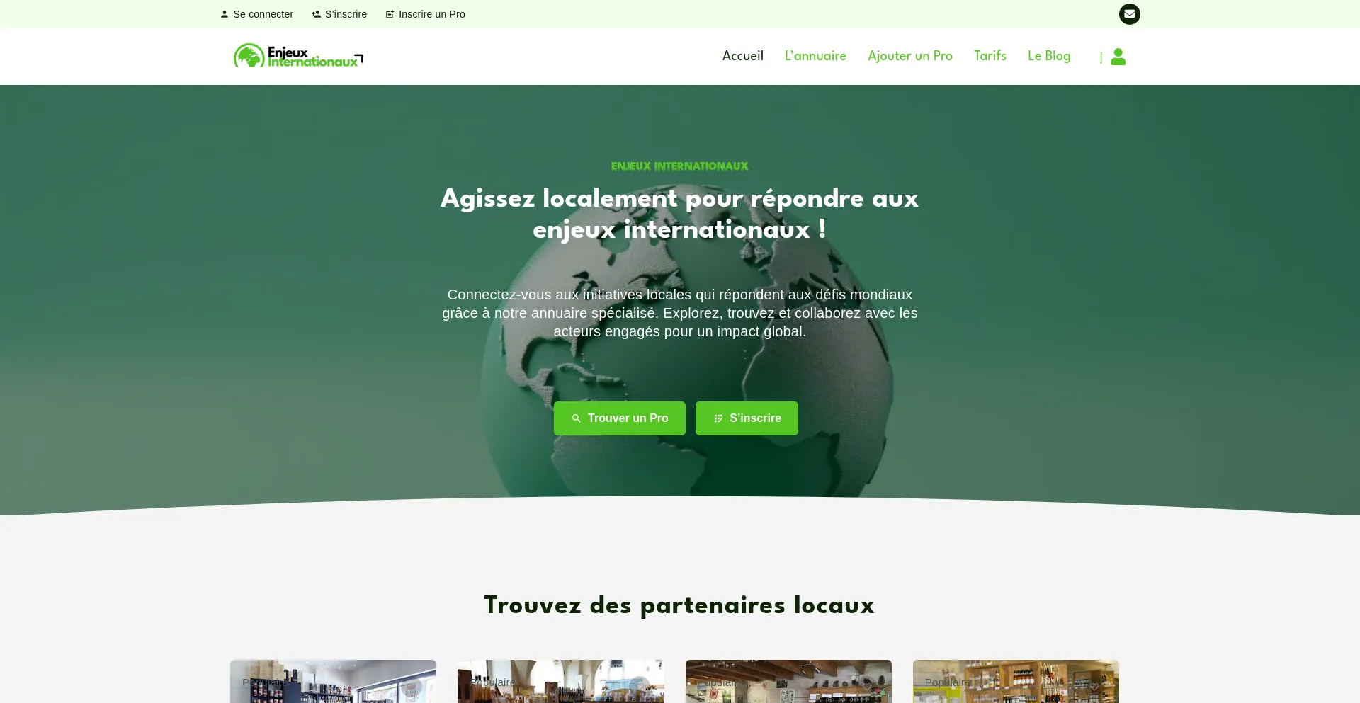 Website screenshot of Enjeux-internationaux.org
