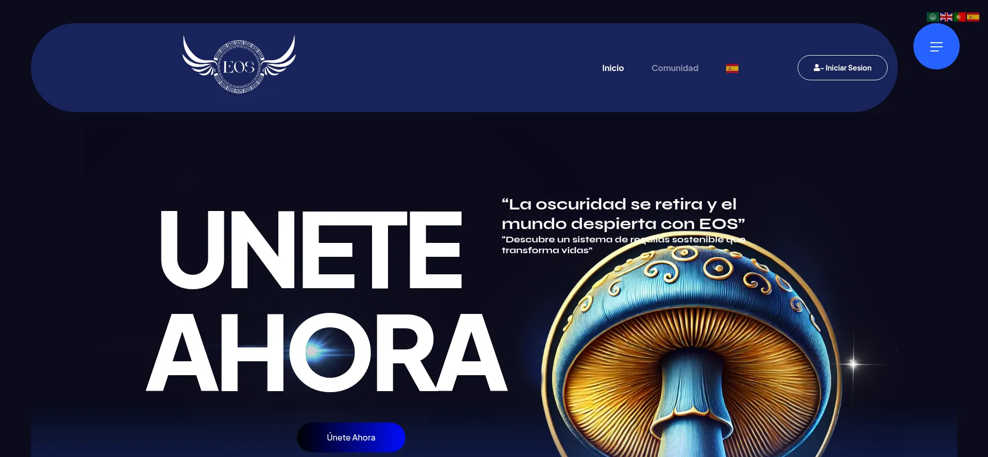Website screenshot of Eoscommunity.online
