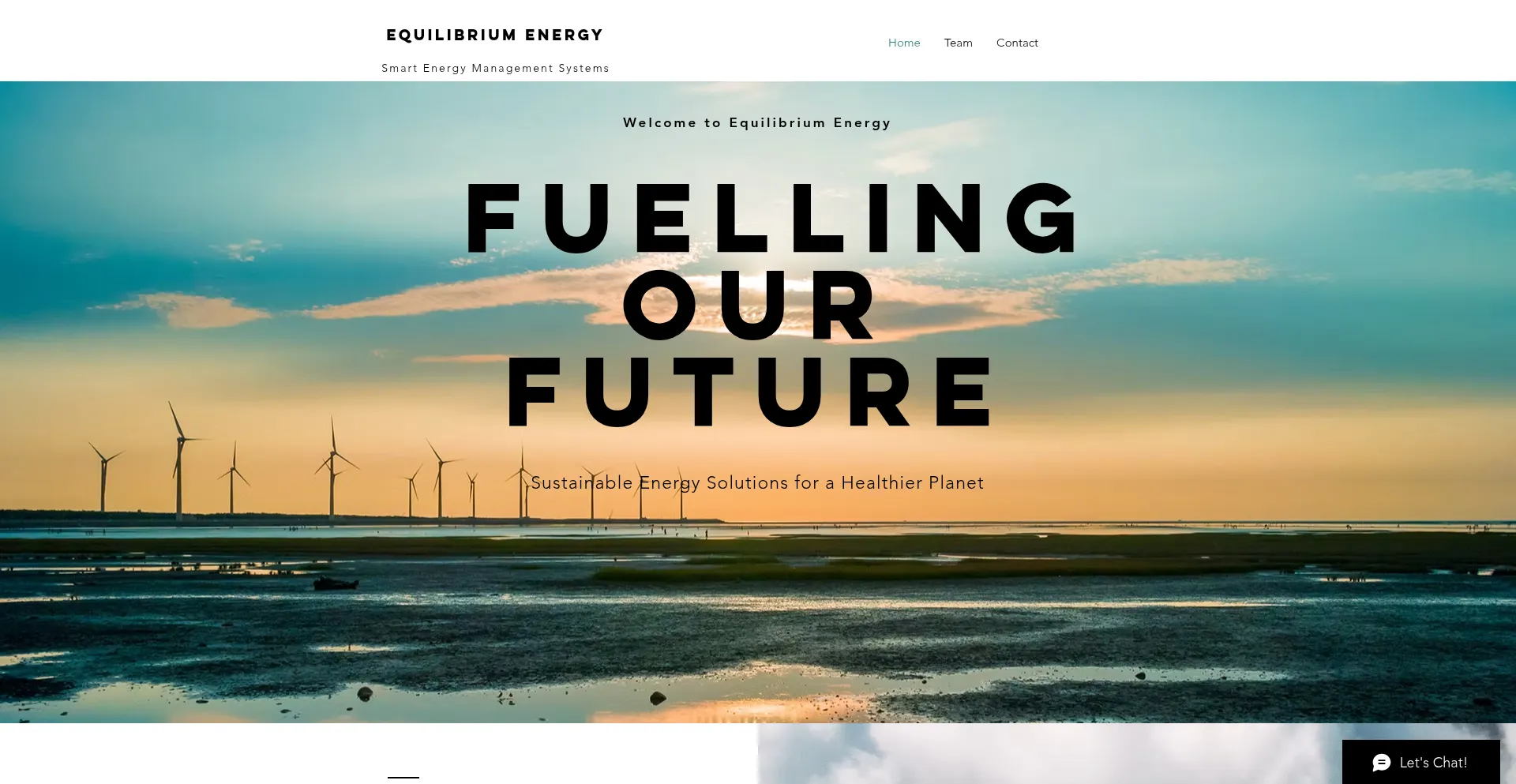 Website screenshot of Equilibriumenergy.com.au