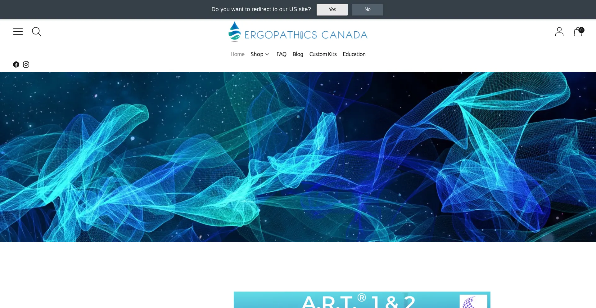 Website screenshot of Ergopathics.ca