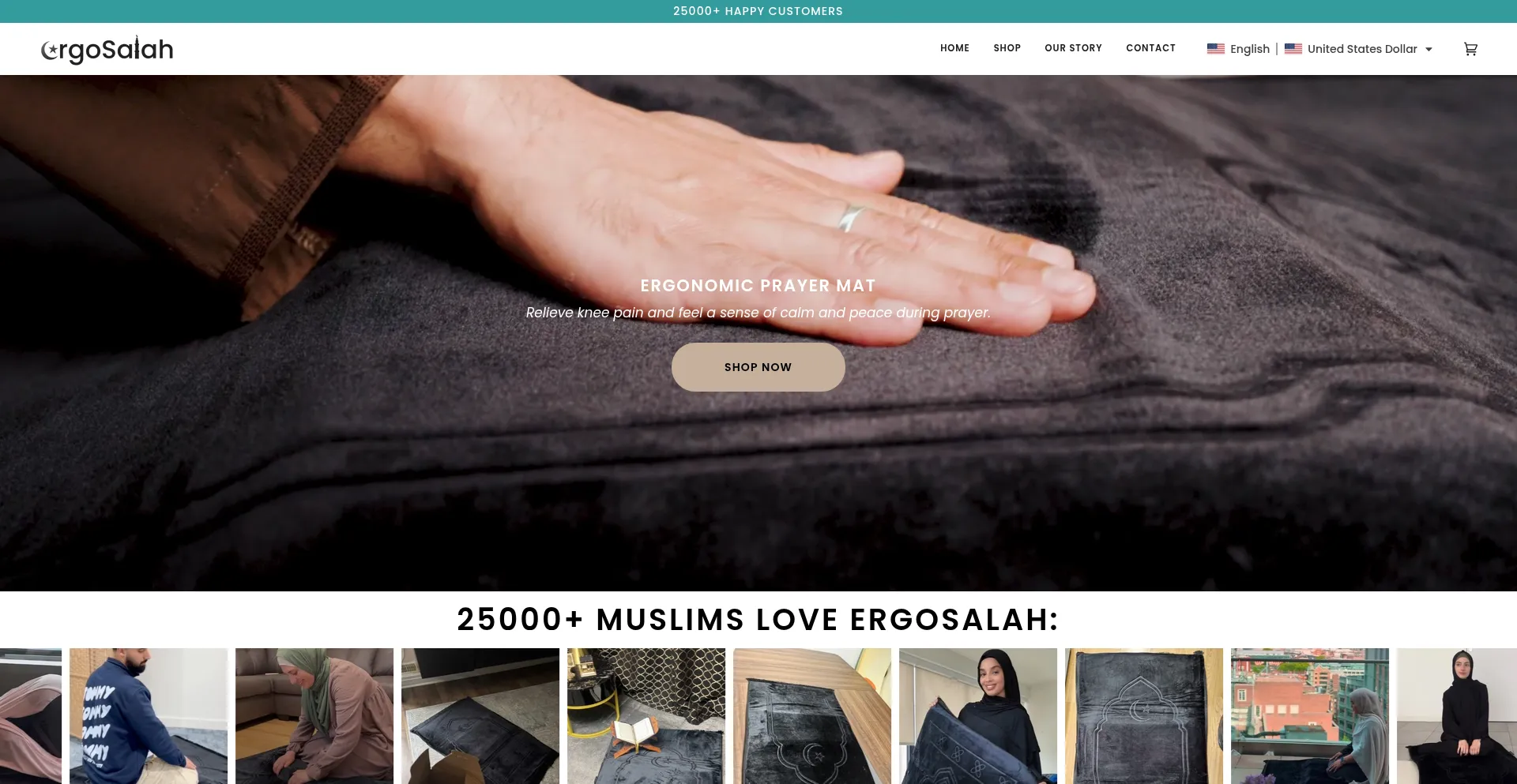 Website screenshot of Ergosalah.com