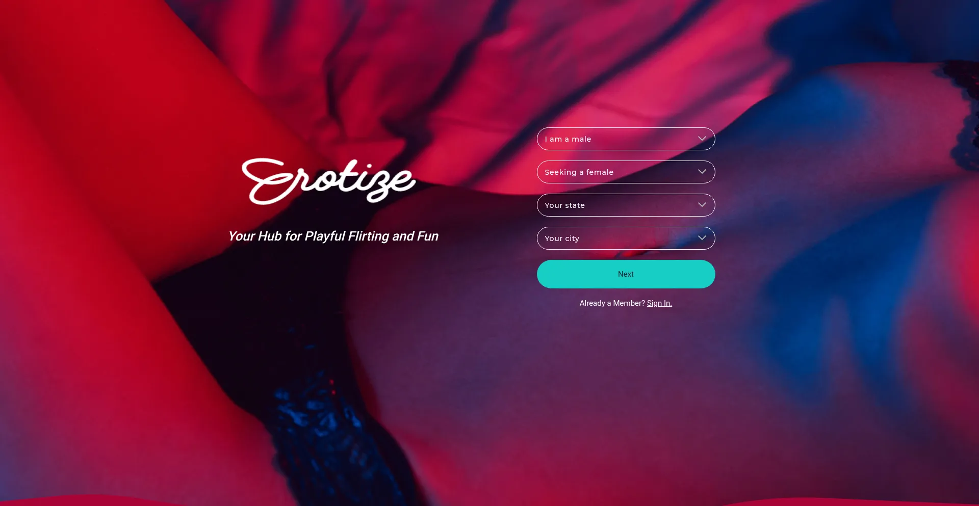 Website screenshot of Erotize.com
