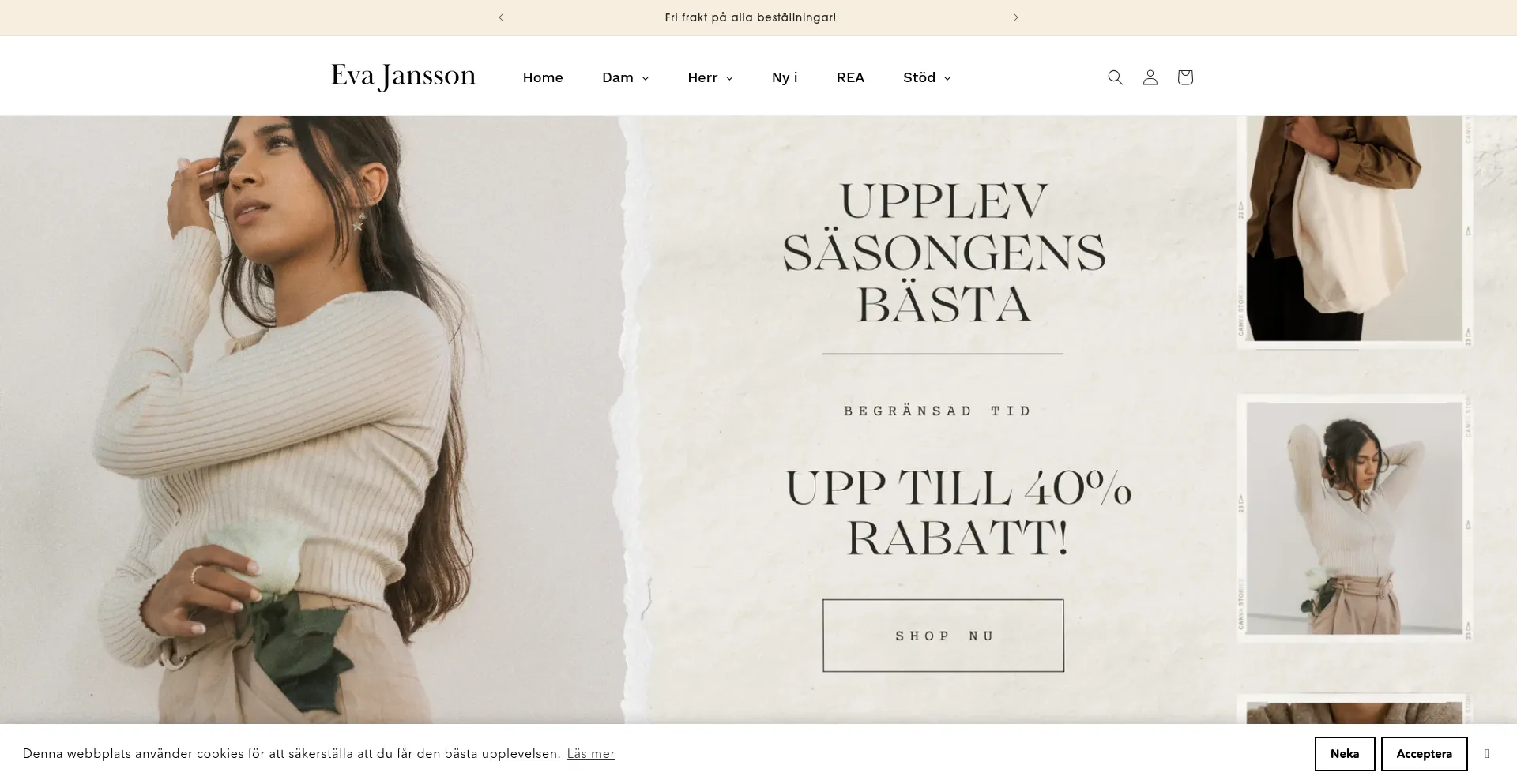 Website screenshot of Evajansson.com