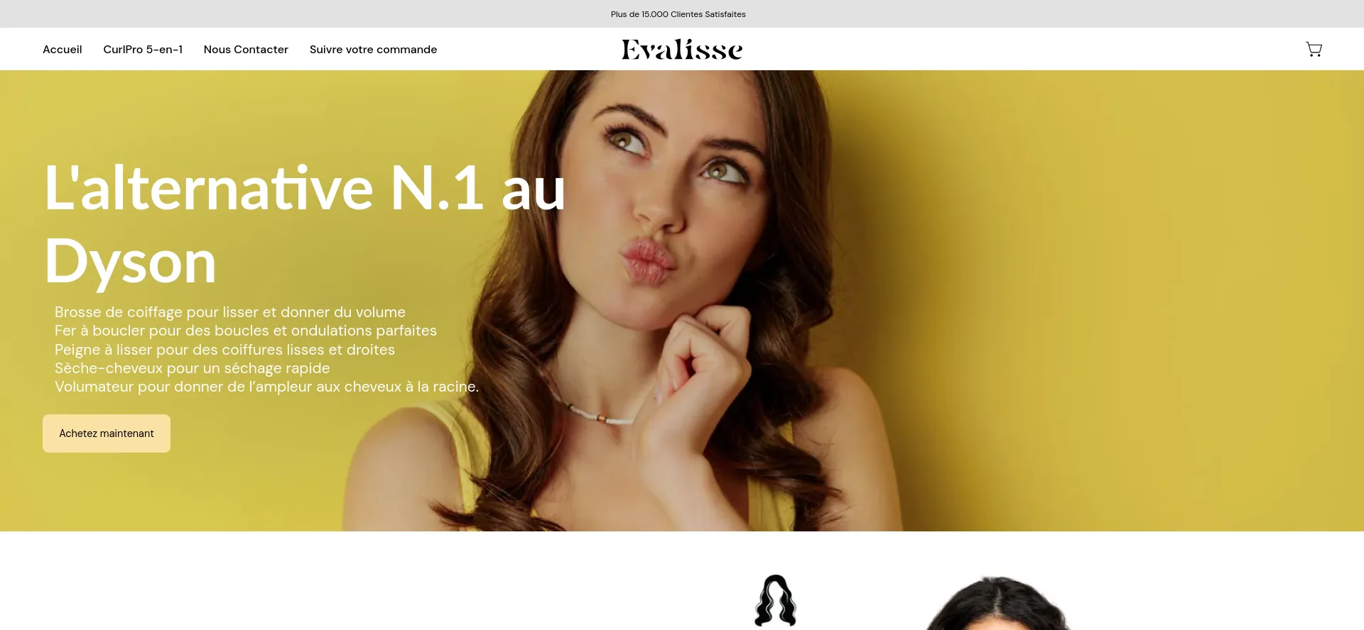 Website screenshot of Evalisse.fr
