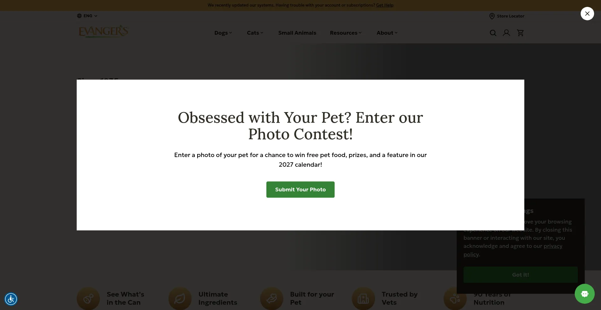 Evangersdogfood.com
