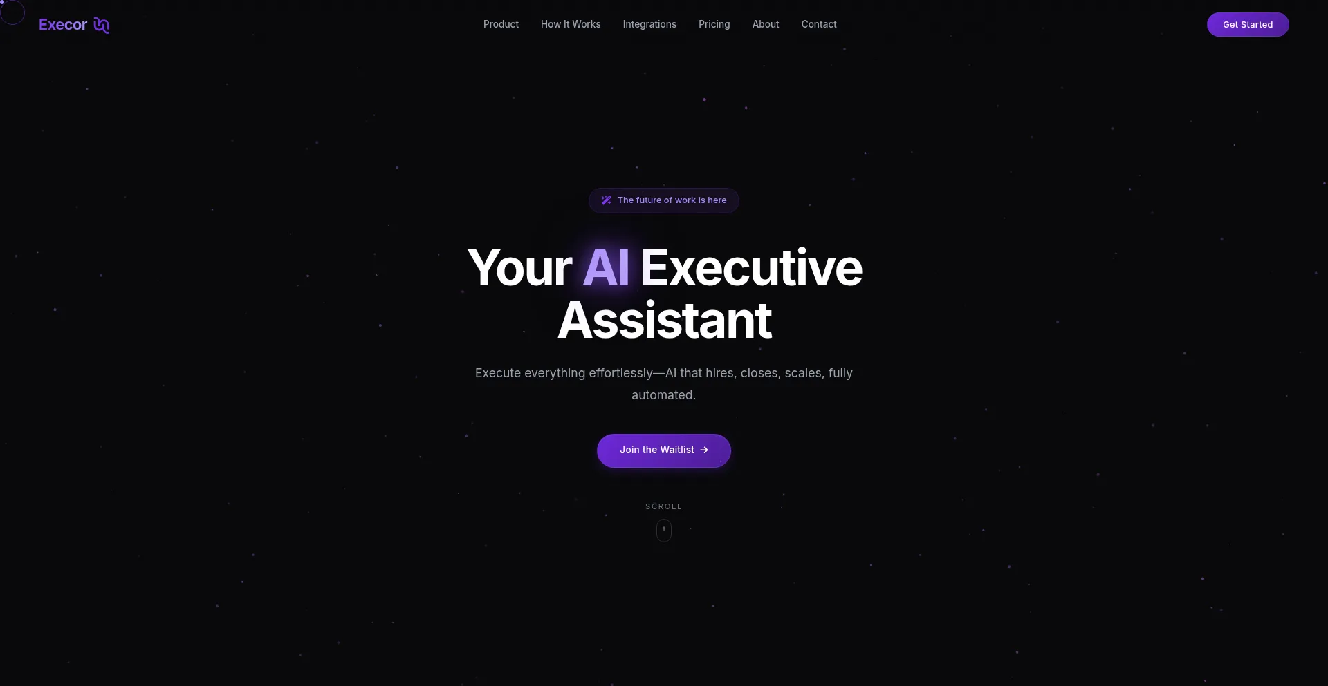 Execor.co