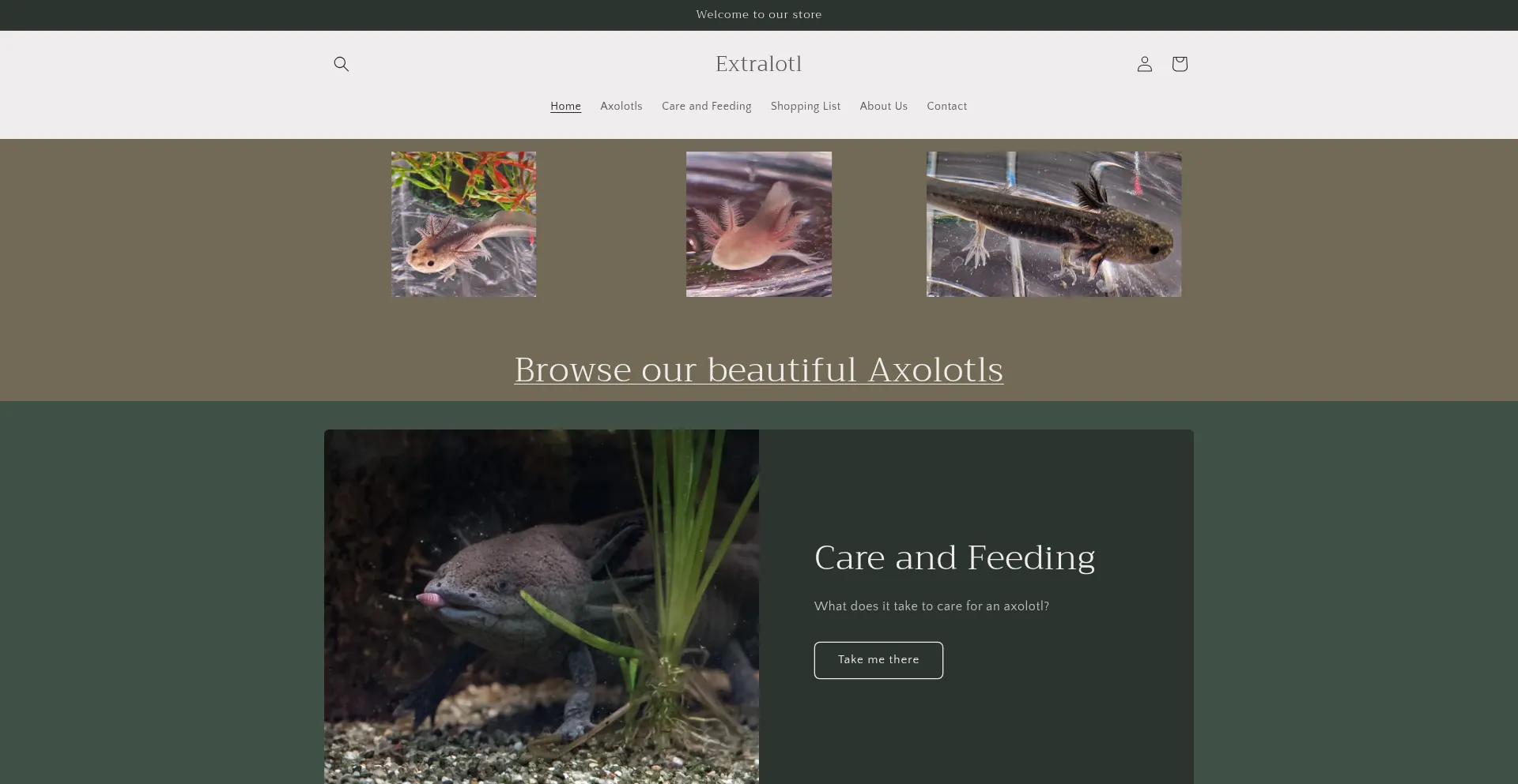 Extralotl.com