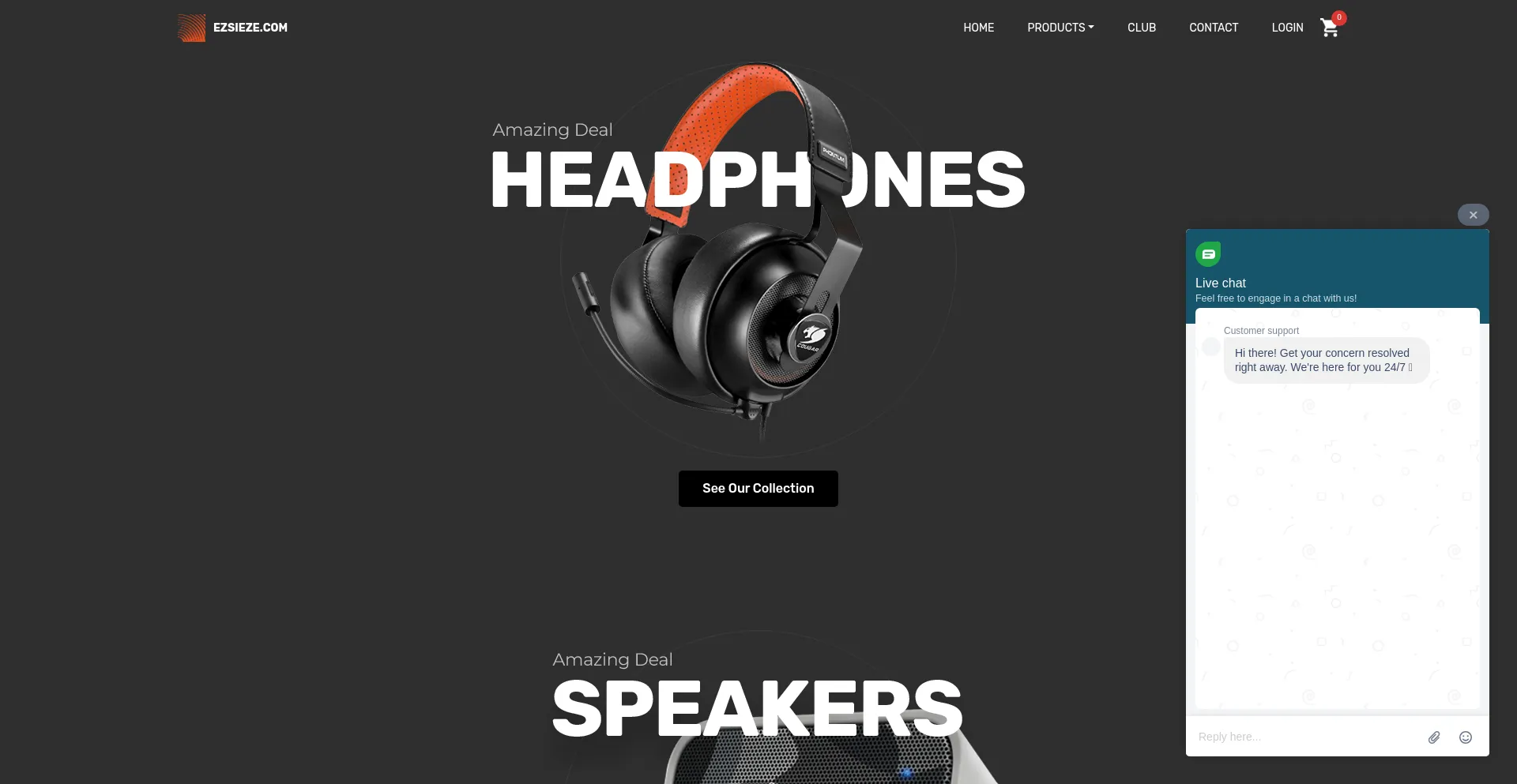 Website screenshot of Ezsieze.com