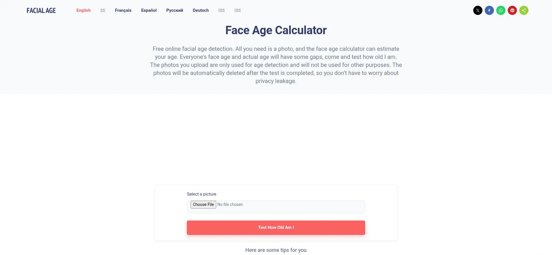 Website screenshot of Facialage.com