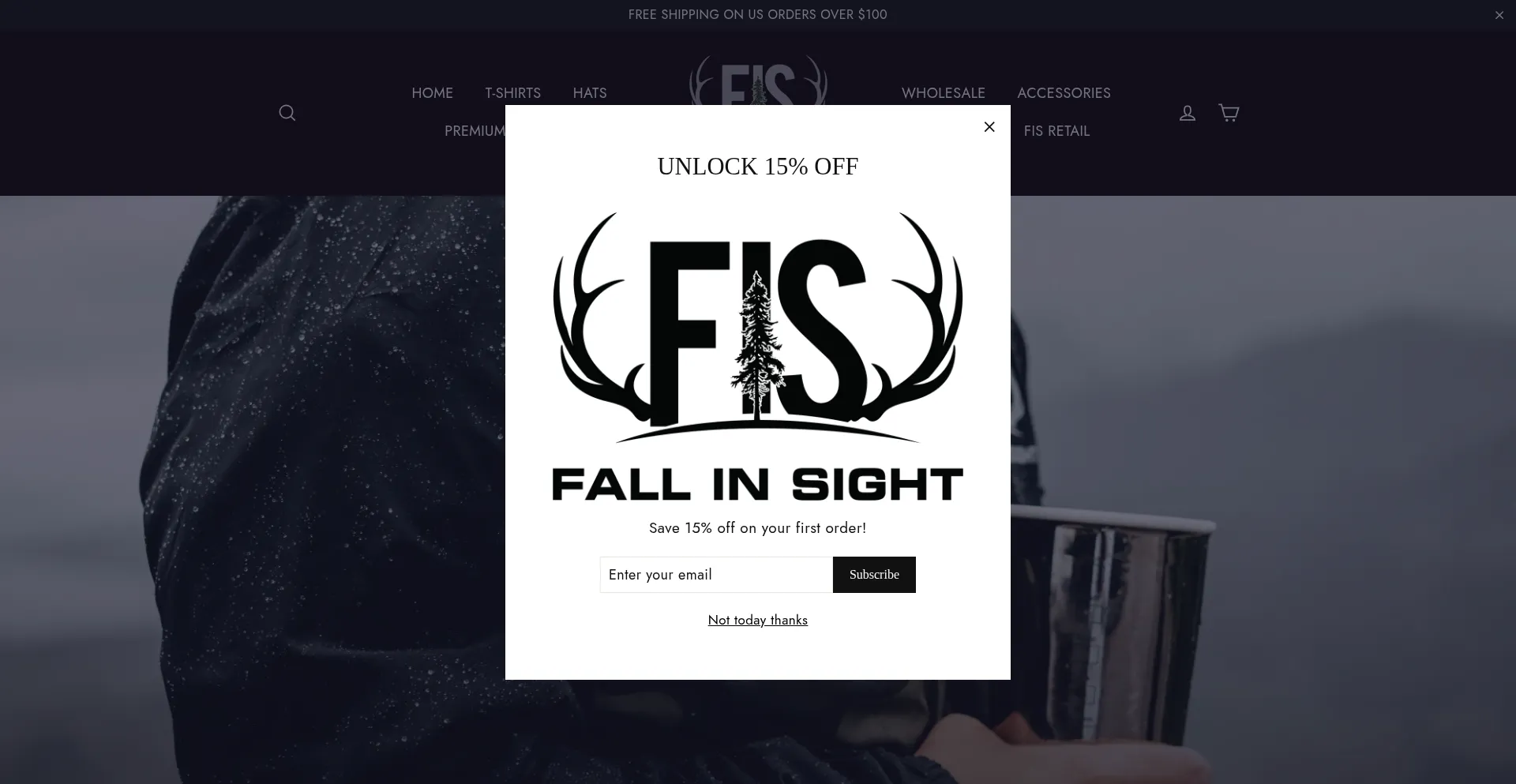 Fallinsight.com