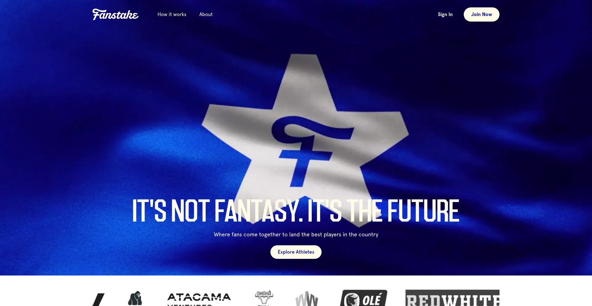 Website screenshot of Fanstake.com