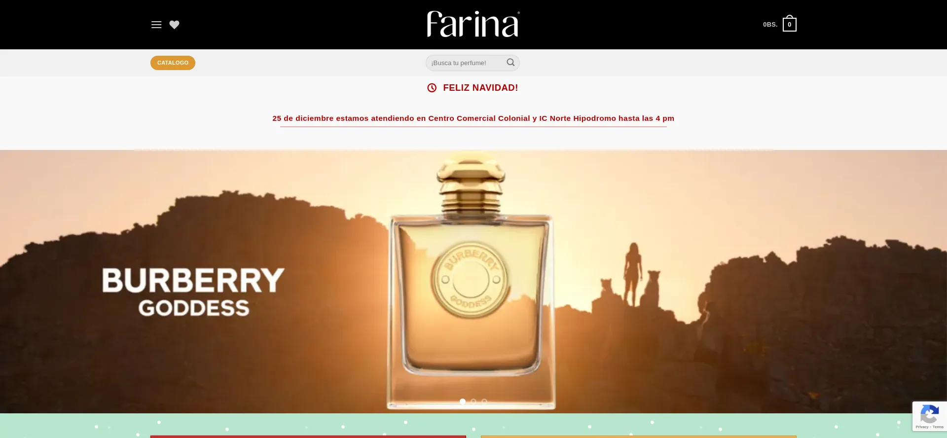 Website screenshot of Farina.com.bo