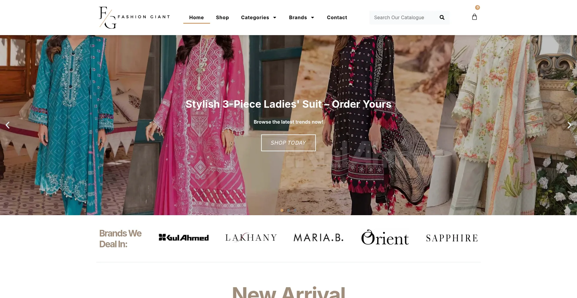 Website screenshot of Fashiongiant.pk