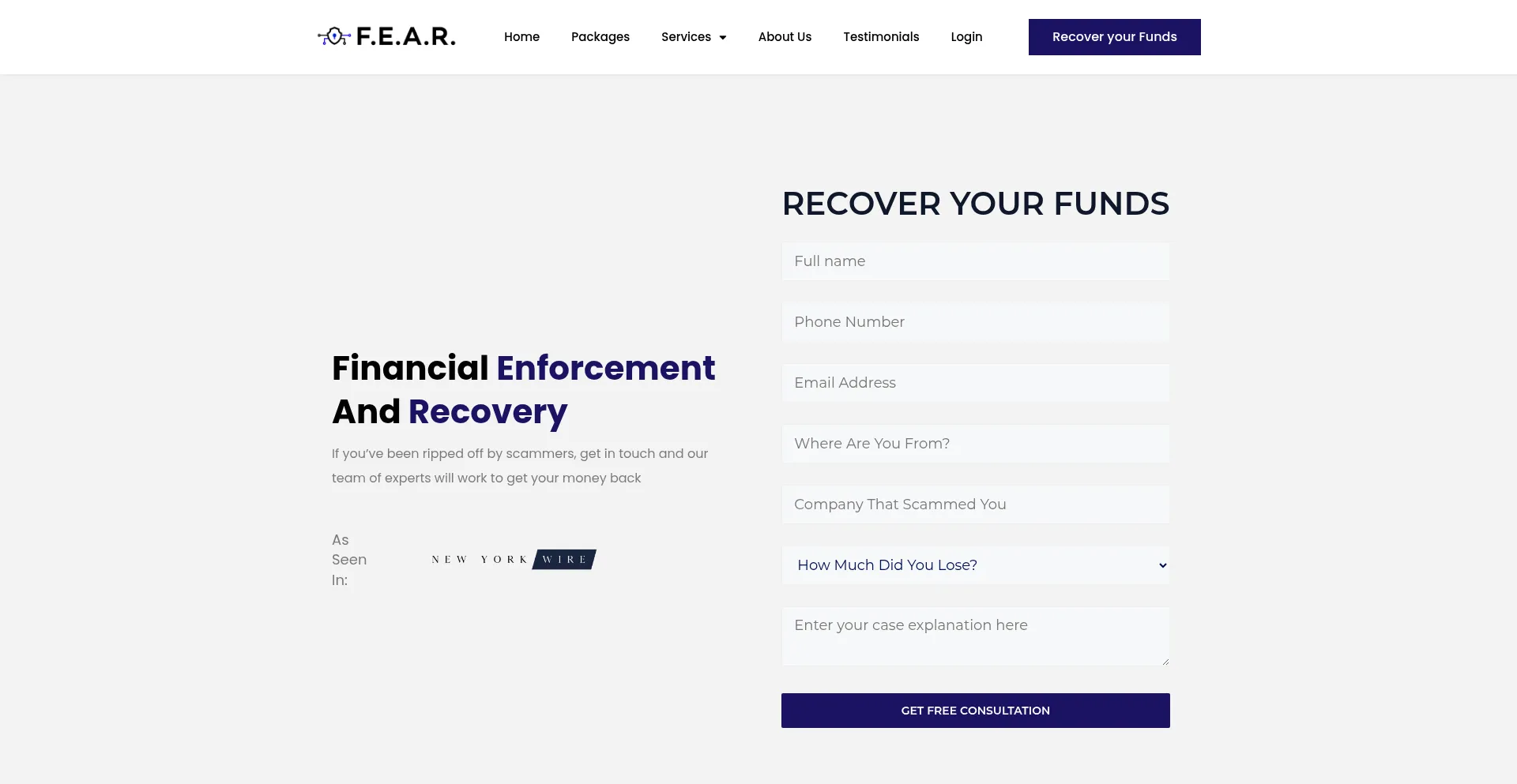 Website screenshot of Fea-recovery.com