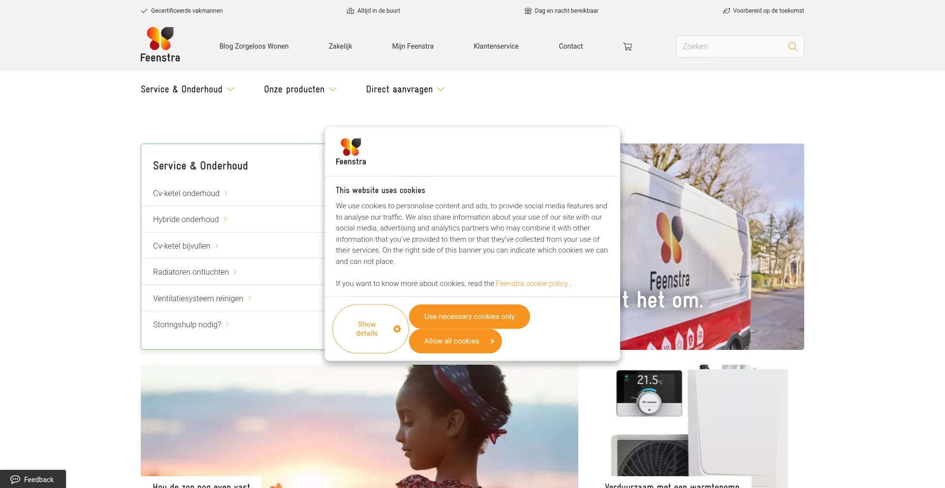 Feenstra.com Screenshot
