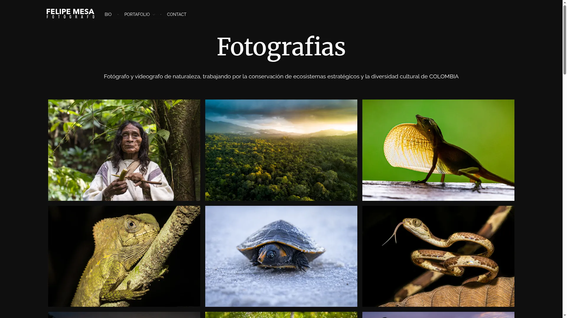 Felipemesa.com