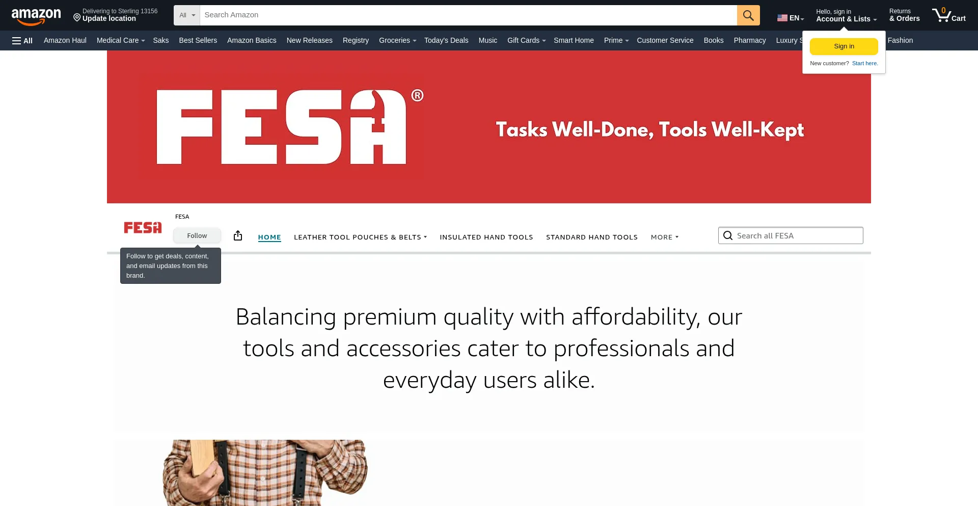 Website screenshot of Fesa.com