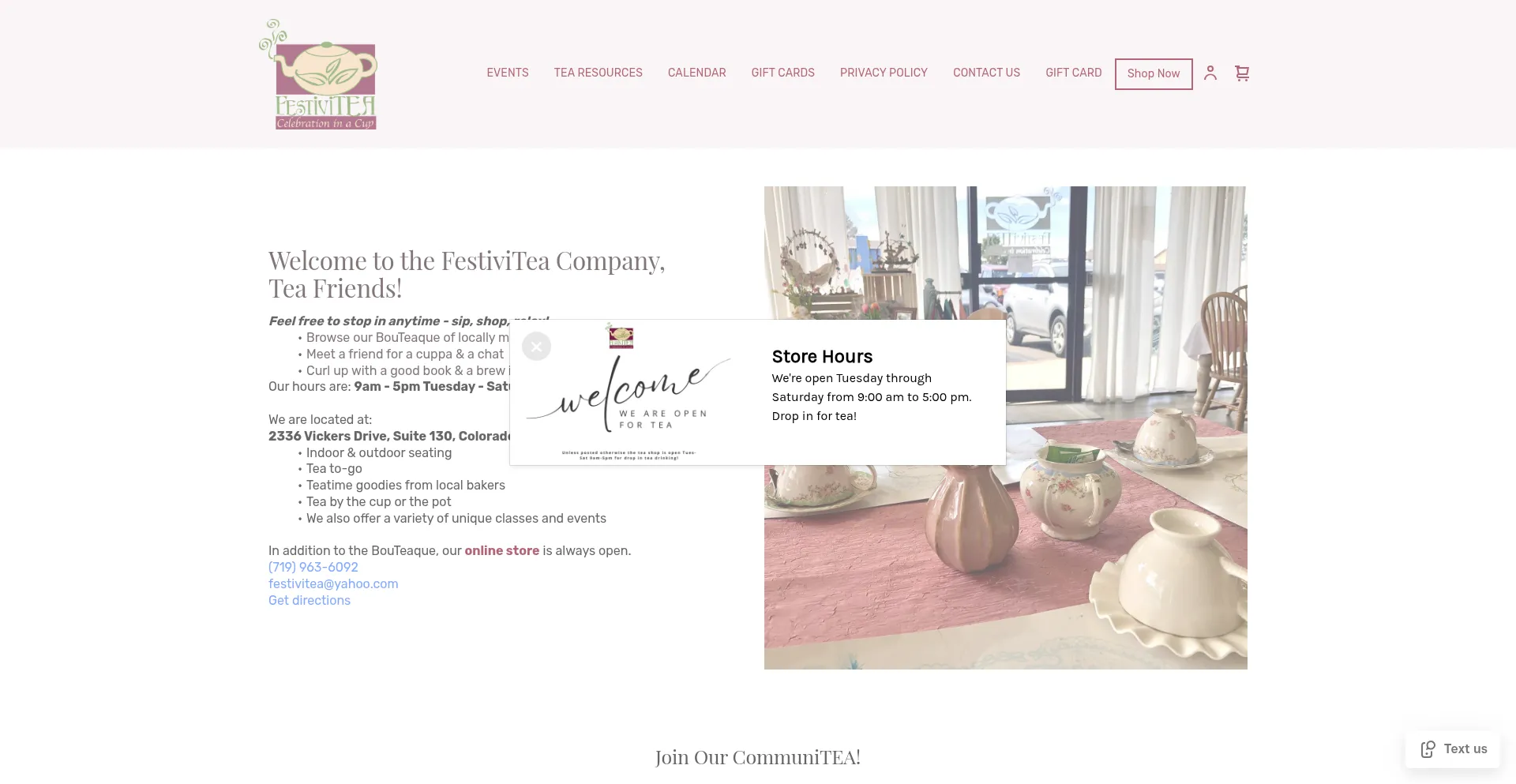 Website screenshot of Festiviteallc.com