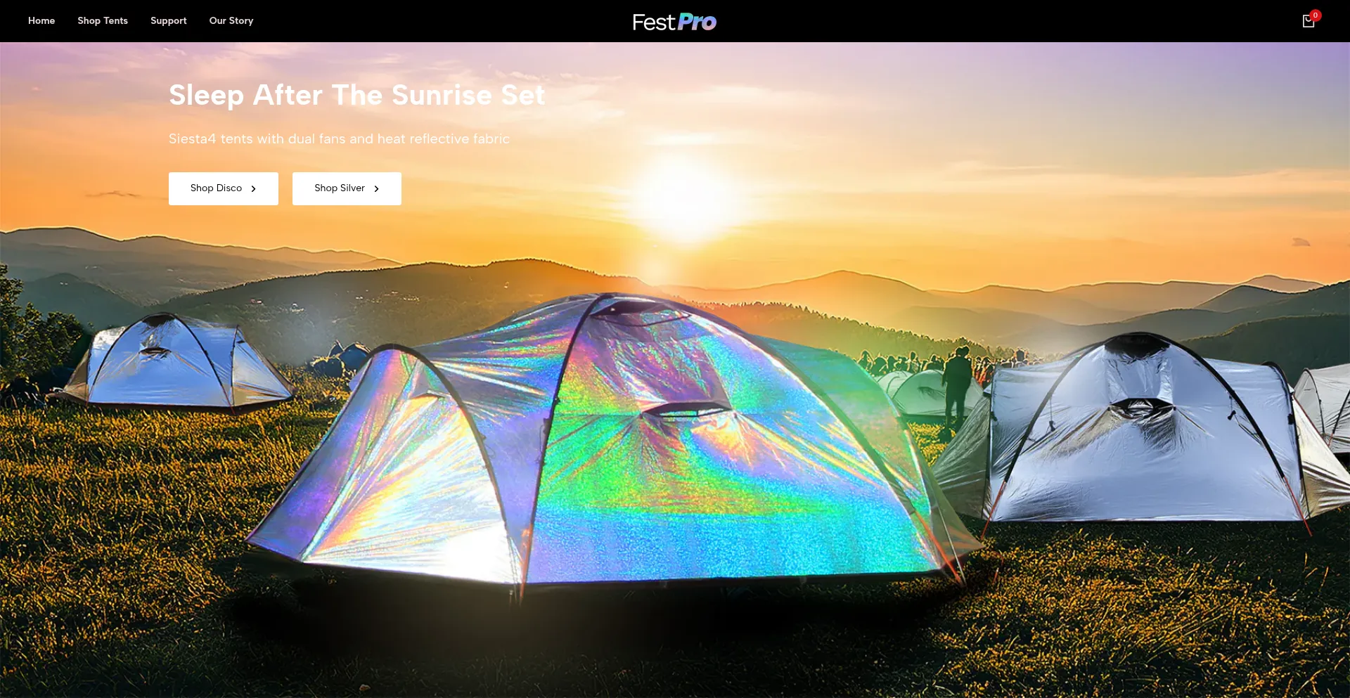 Website screenshot of Festprogear.com