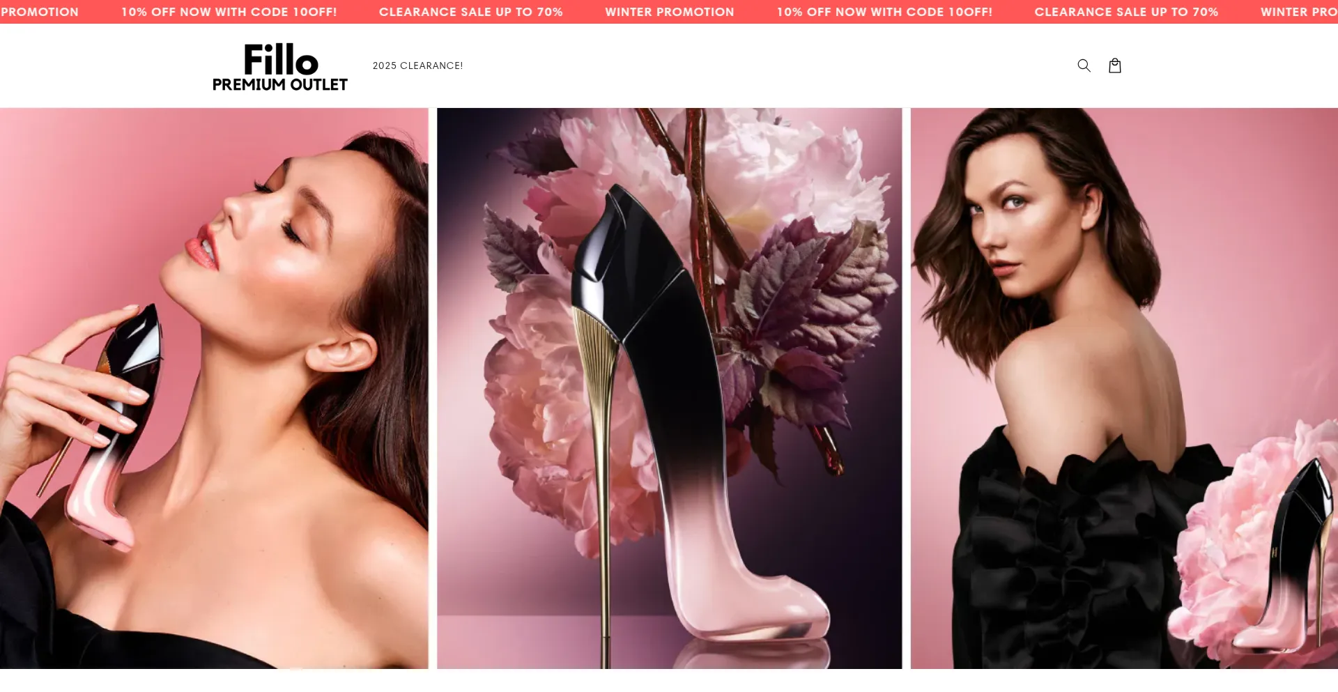 Website screenshot of Filloutlet.com