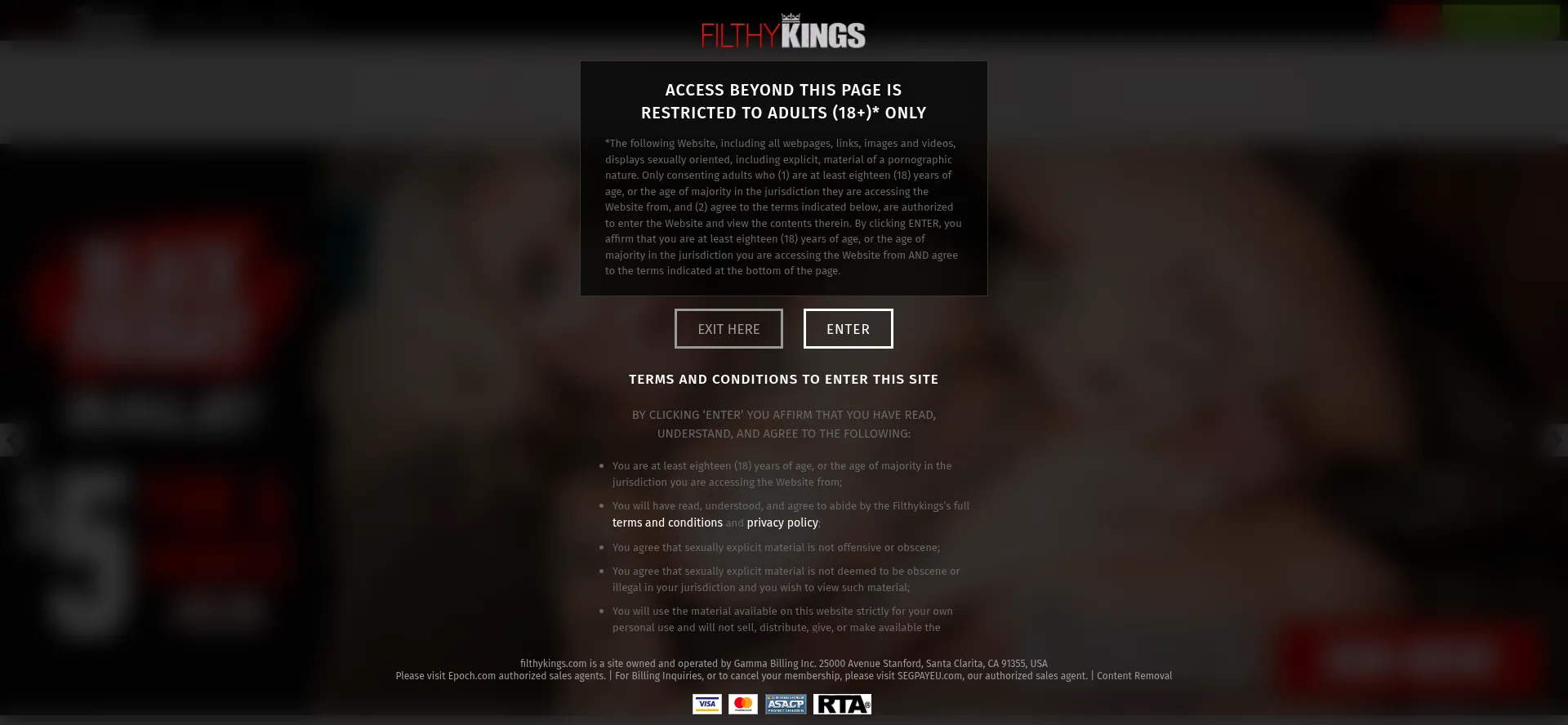 Website screenshot of Filthykings.com