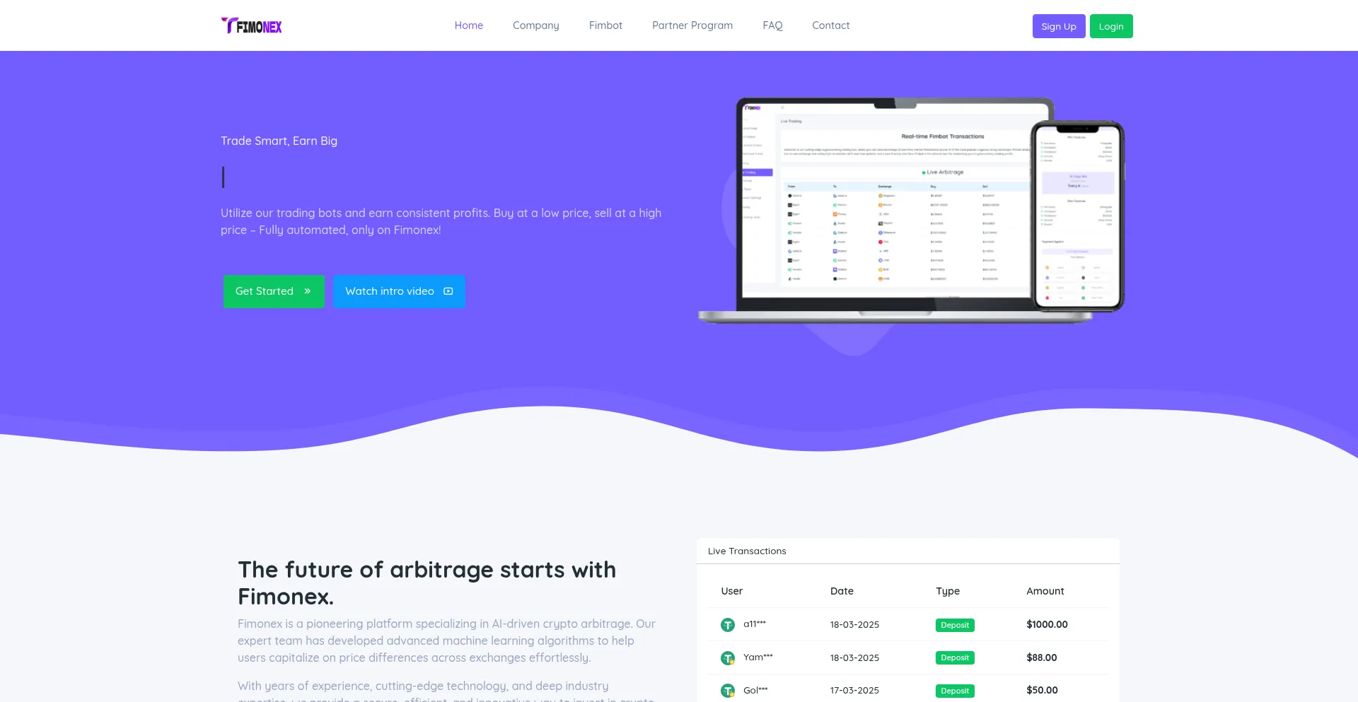 Website screenshot of Fimonex.com