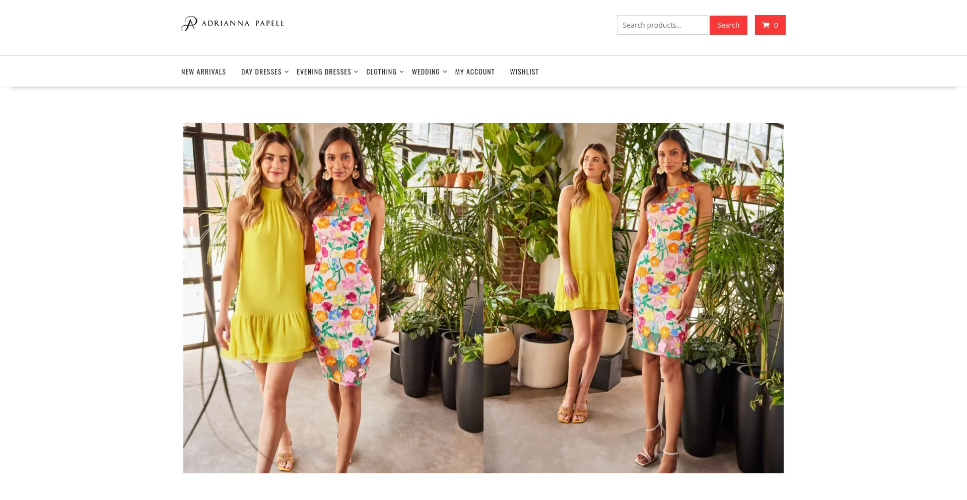 Fionayera.shop est-il Sûr et Fiable ?