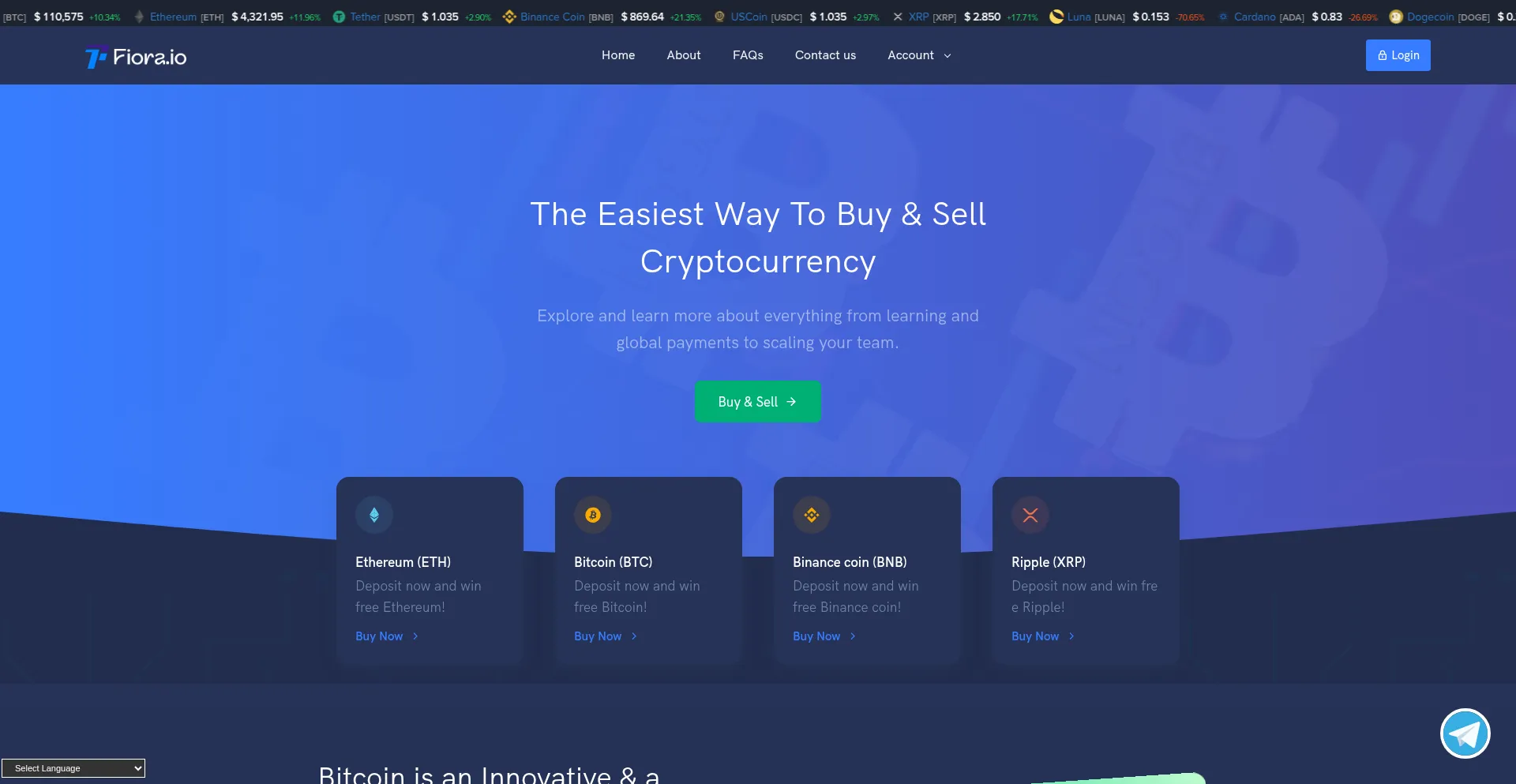 Website screenshot of Fiora.io