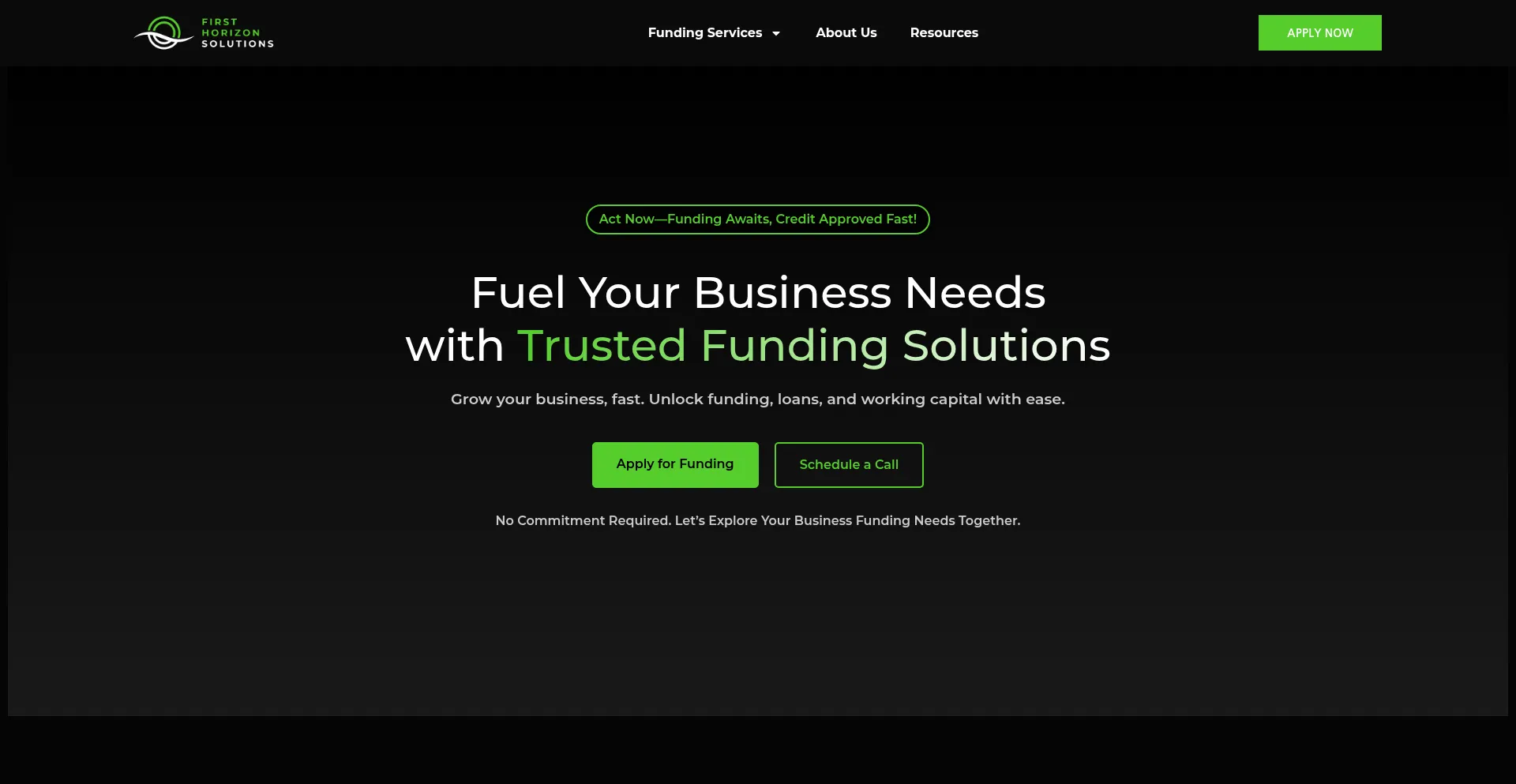 Firsthorizonsolutions.com