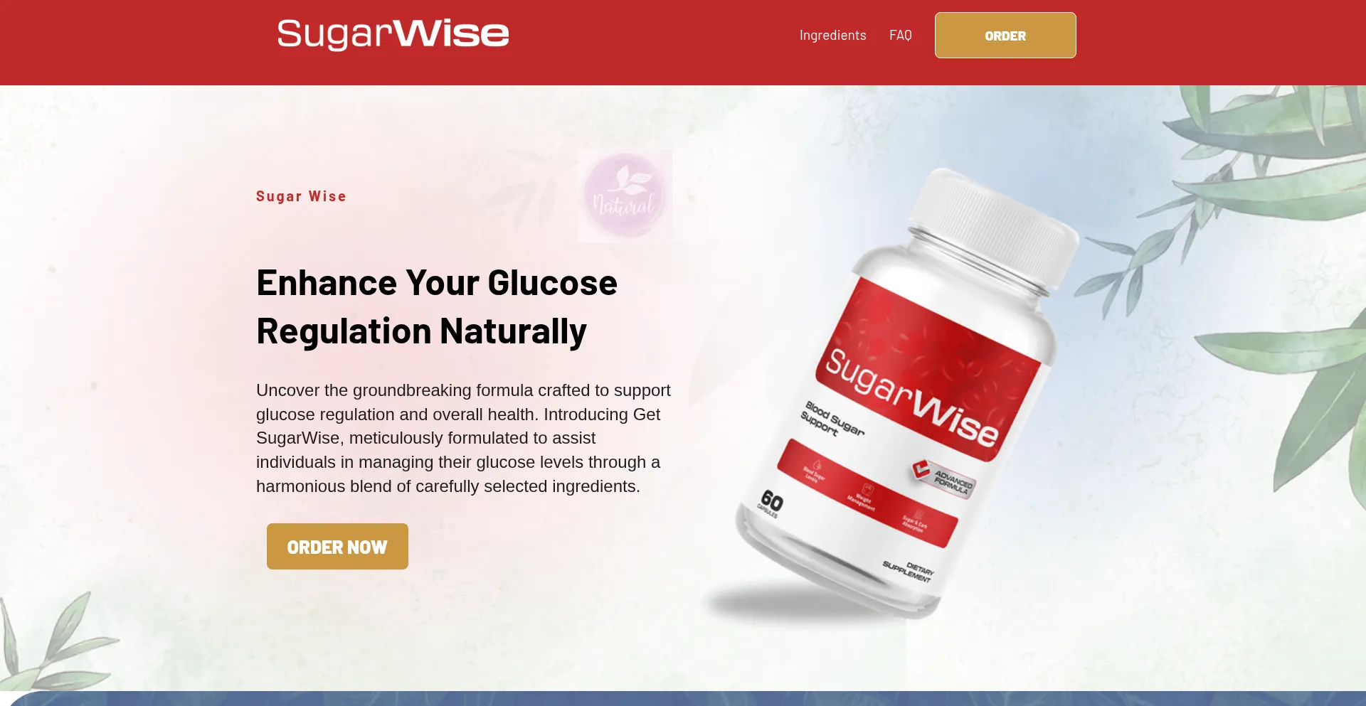 Fitnessgelatintricktoday.com