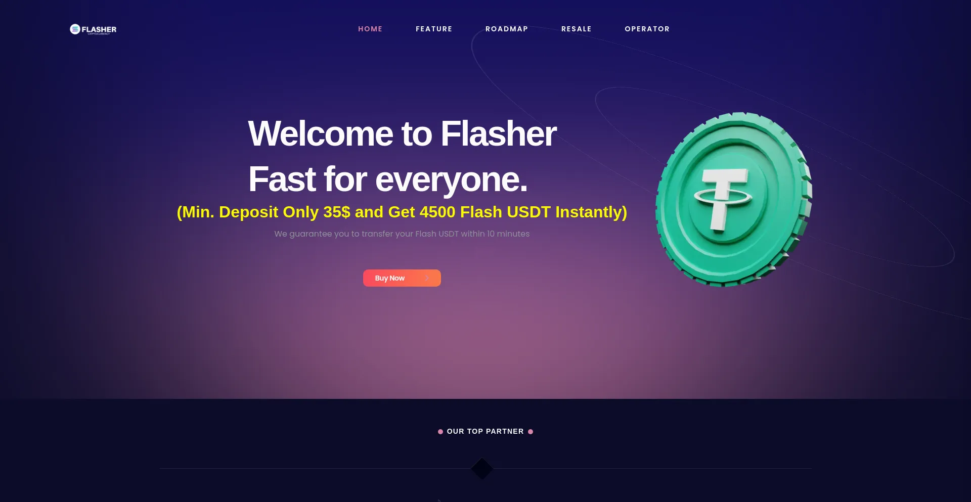 Website screenshot of Flasherusdt.in