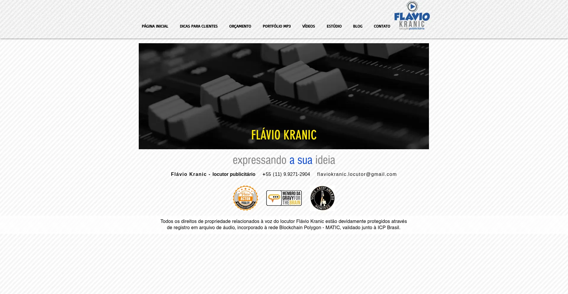 Website screenshot of Flaviokranic.com.br