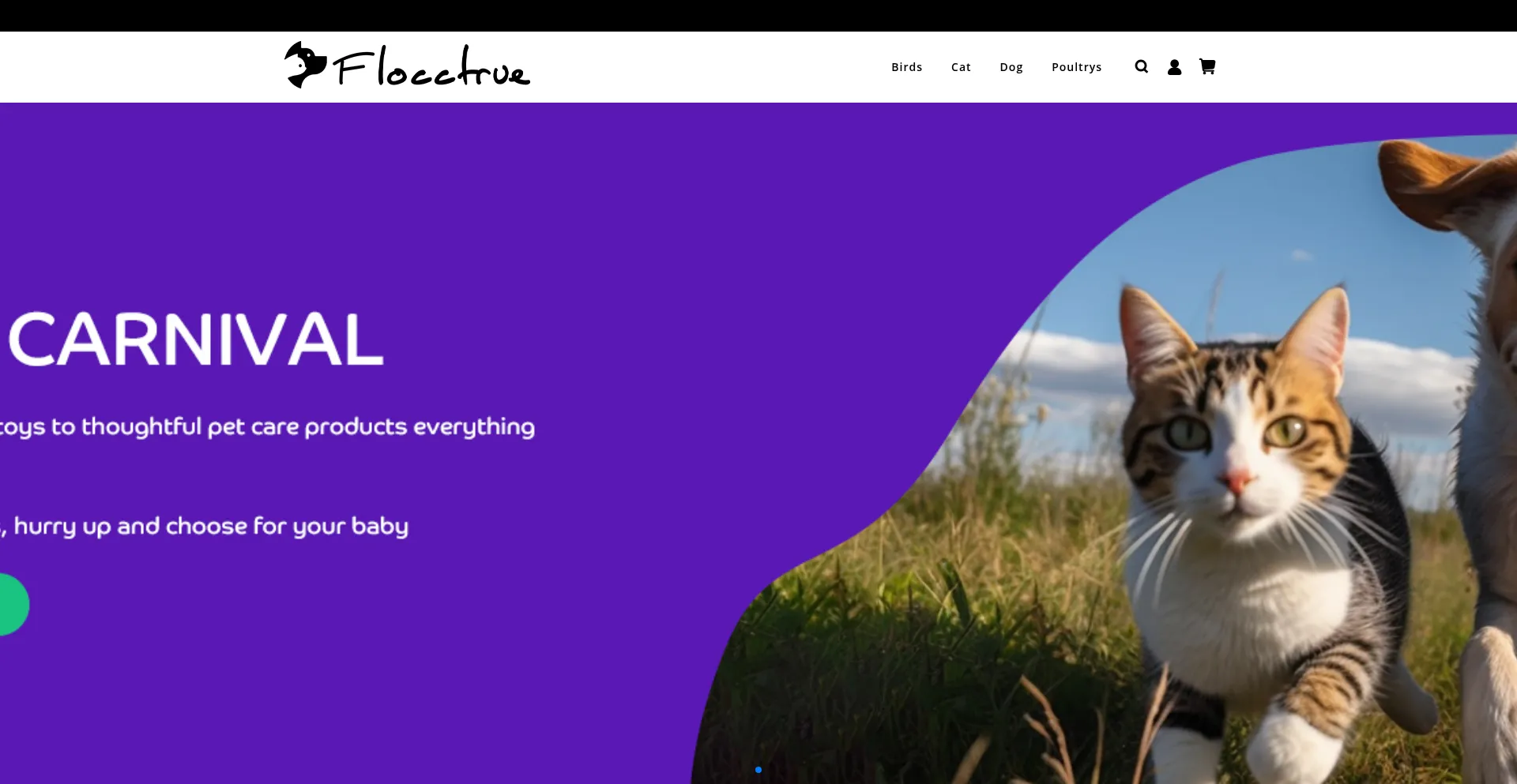 Website screenshot of Flocctrue.com