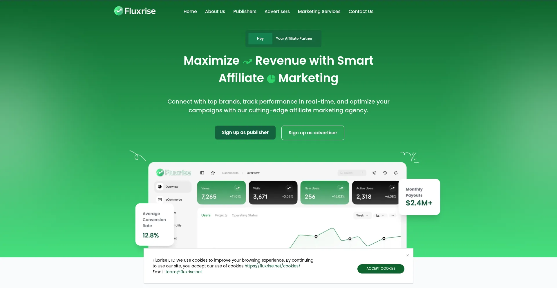 Website screenshot of Fluxrise.net