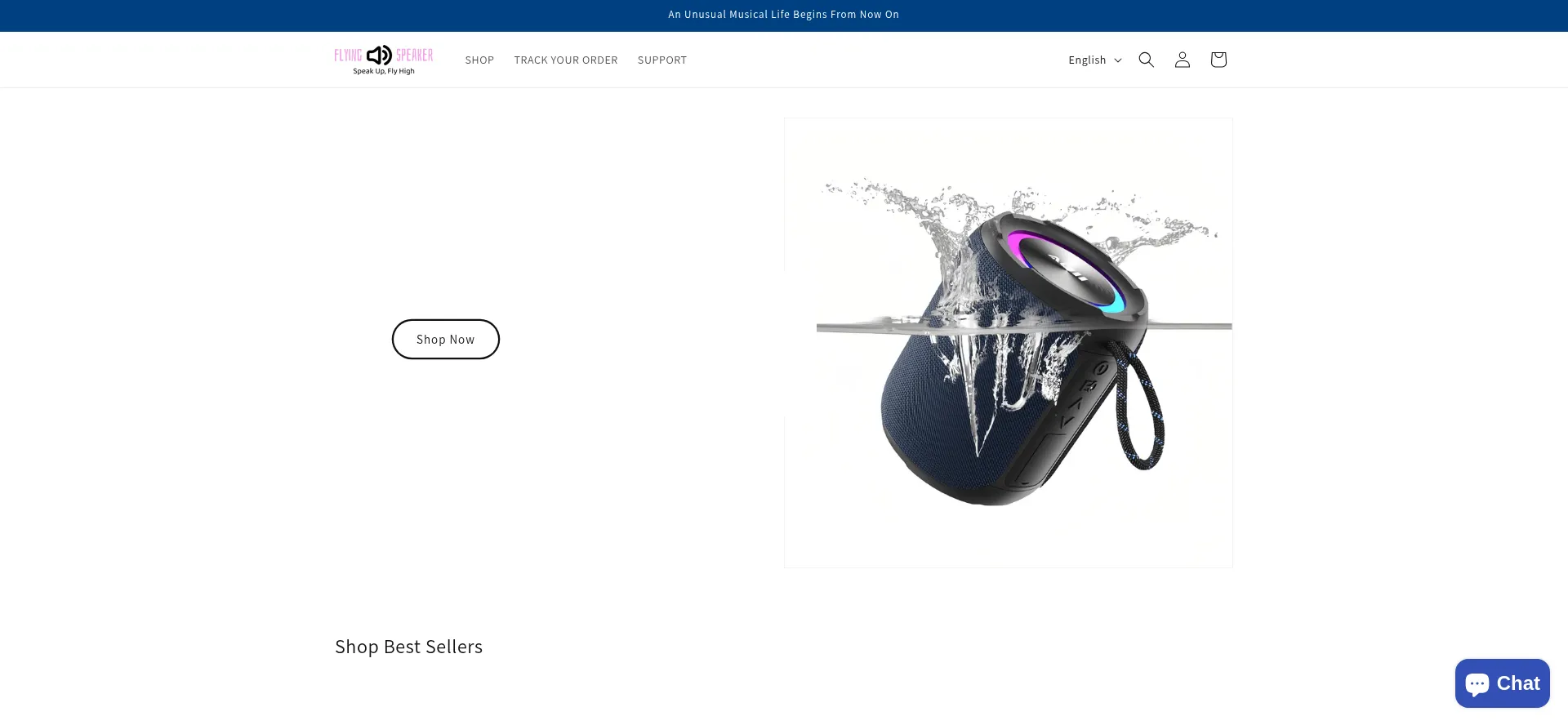 Website screenshot of Flyingspeaker.com