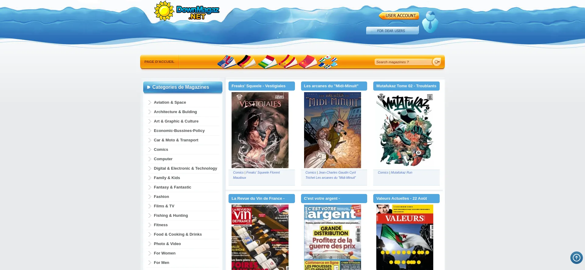 Website screenshot of Fr.downmagaz.net