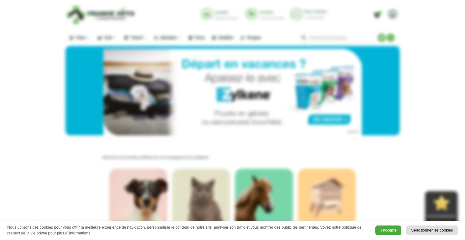 Website screenshot of France-veto.com