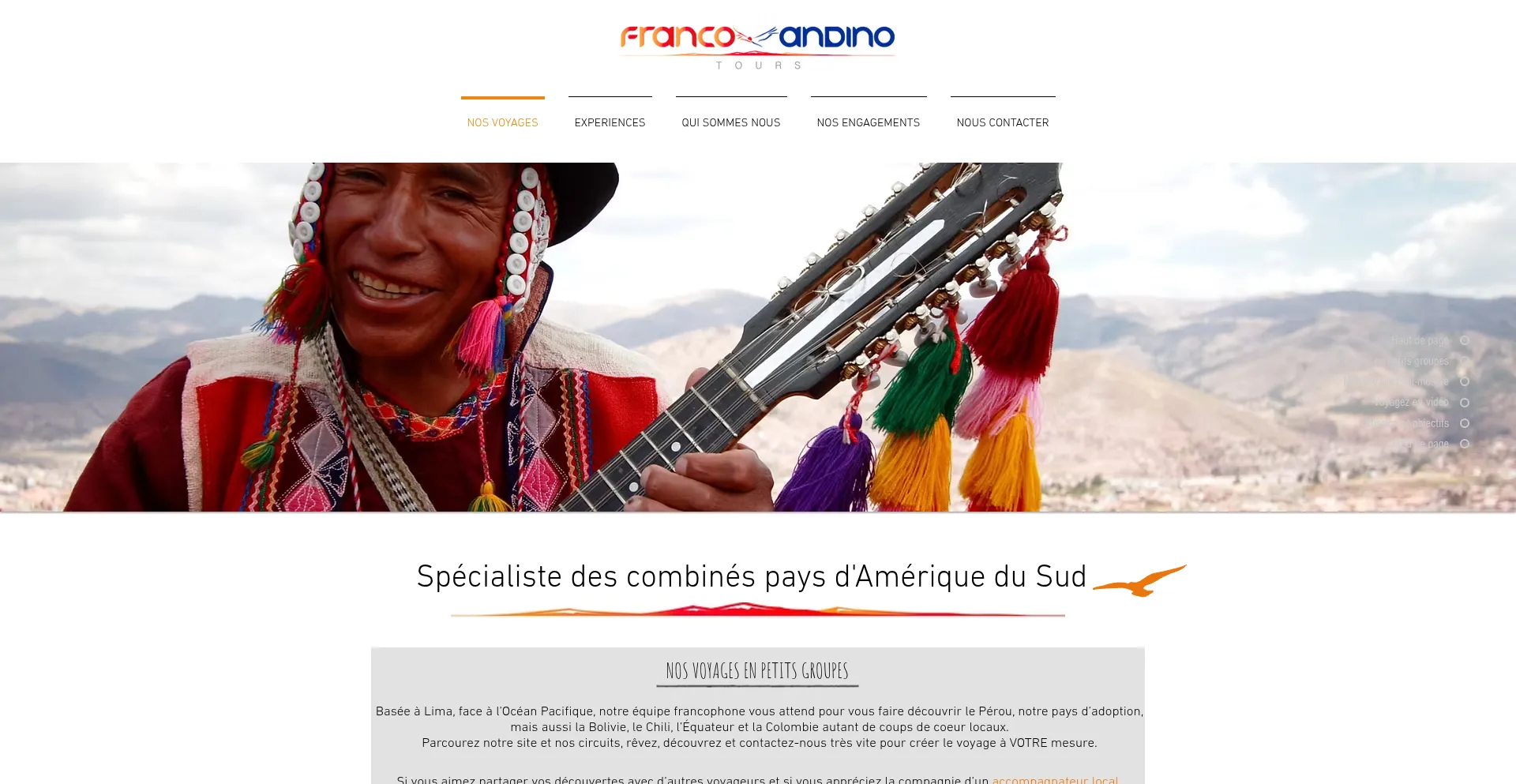 Website screenshot of Francoandinotours.com