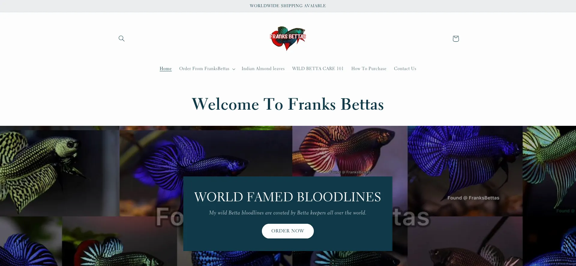 Franksbettas.com