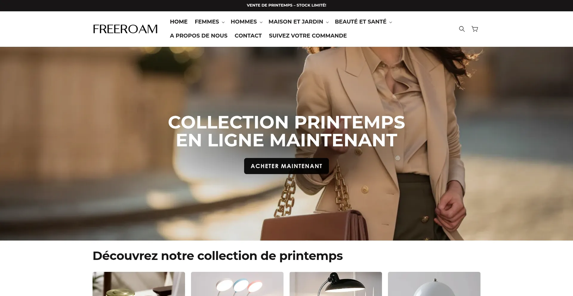Website screenshot of Freeroam.fr