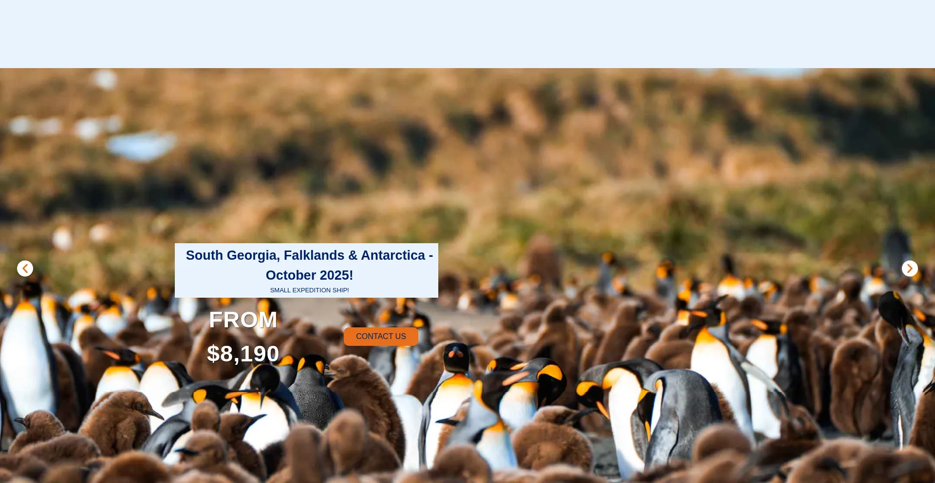 Website screenshot of Freestyleadventuretravel.com