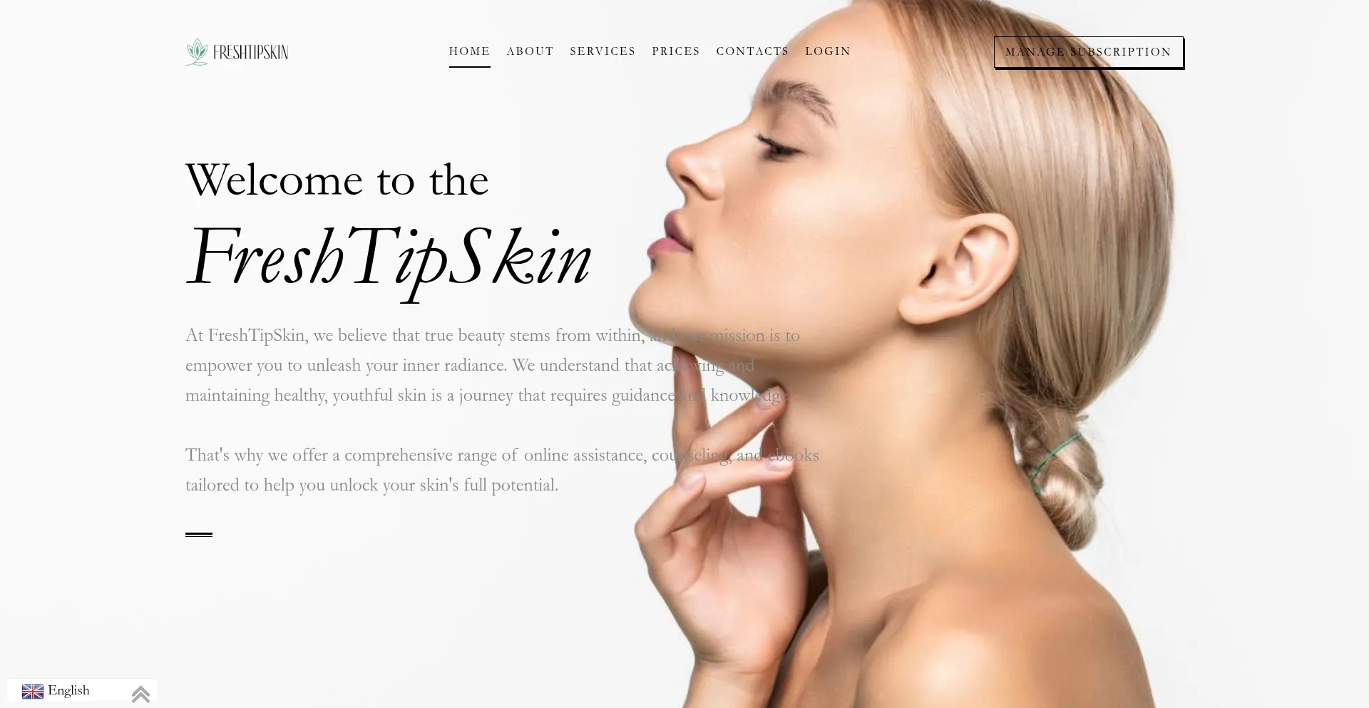 Website screenshot of Freshtipskin.com