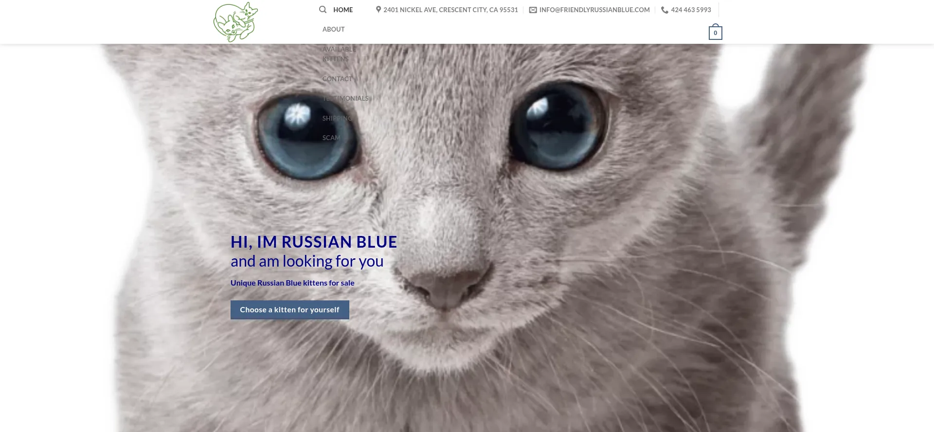 Friendlyrussianblue.com est-il Sûr et Fiable ?
